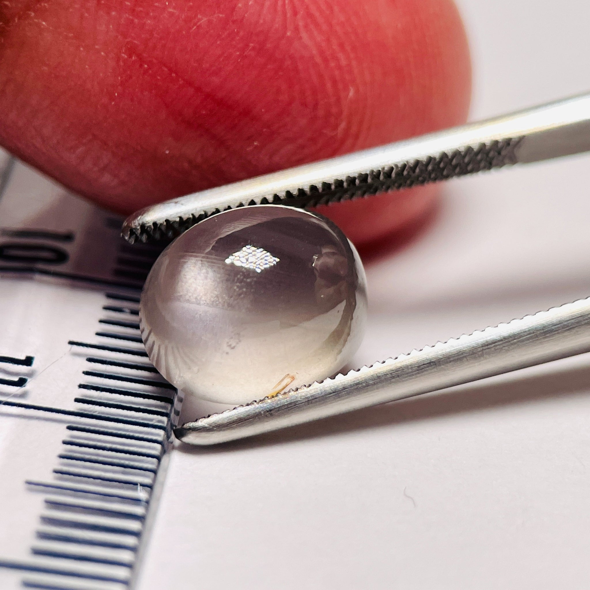 5.96Ct Sapphire Cabochon Umba Valley Tanzania. Untreated Unheated. Has A Moving Star But As Point.