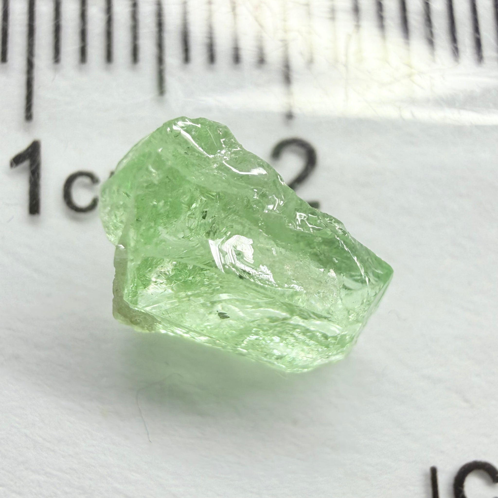 Merelani Mint Garnet, 2.69ct, Tanzania, Untreated Unheated, vvs, slight gunk at one end to remove, flat shape