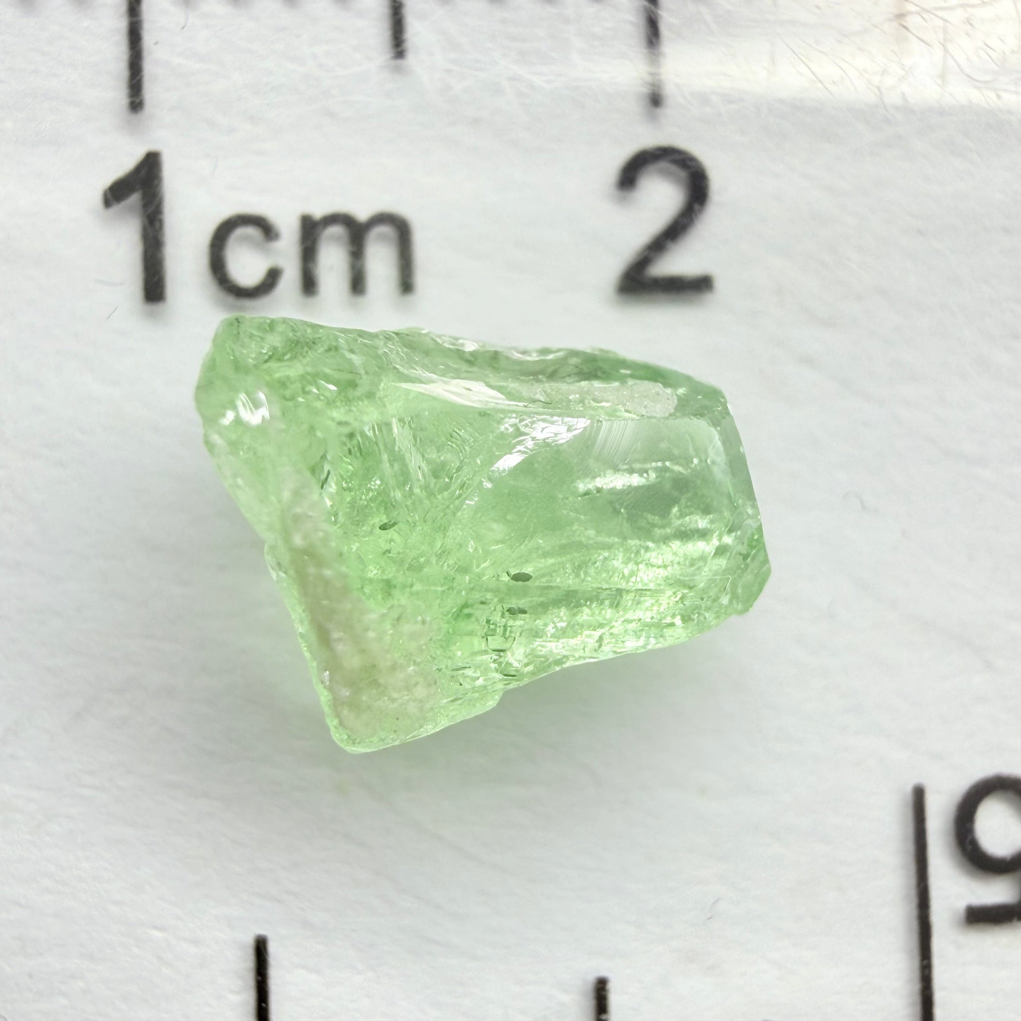 Merelani Mint Garnet, 2.69ct, Tanzania, Untreated Unheated, vvs, slight gunk at one end to remove, flat shape