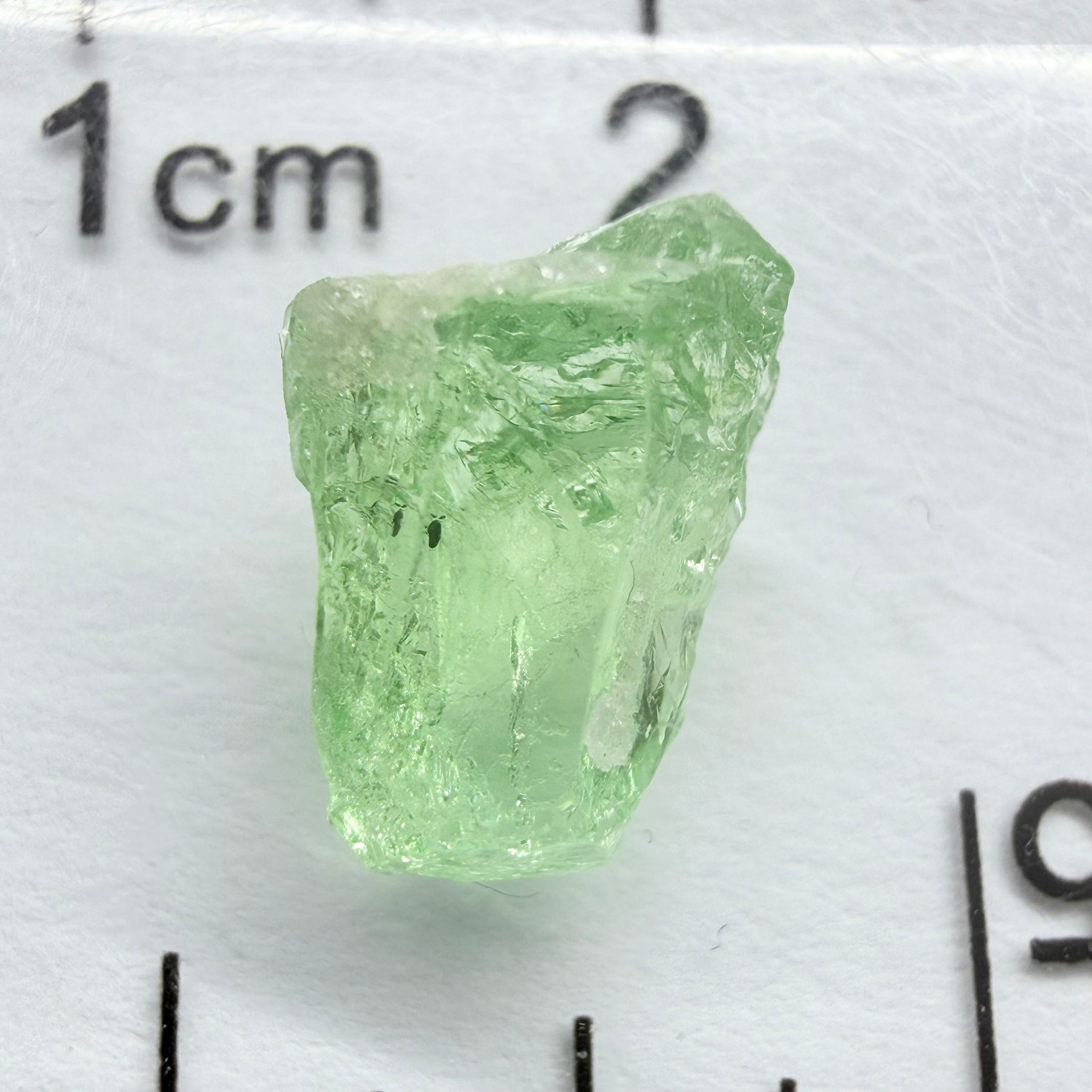 Merelani Mint Garnet, 2.69ct, Tanzania, Untreated Unheated, vvs, slight gunk at one end to remove, flat shape