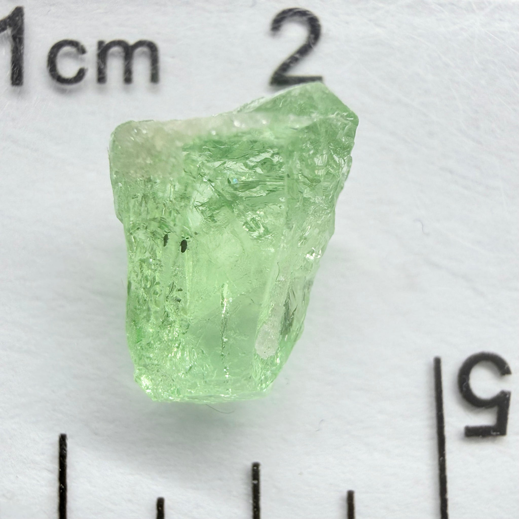 Merelani Mint Garnet, 2.69ct, Tanzania, Untreated Unheated, vvs, slight gunk at one end to remove, flat shape