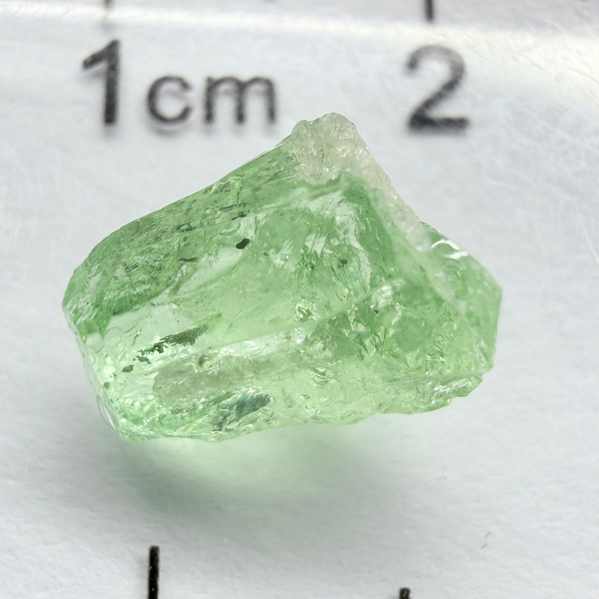 Merelani Mint Garnet, 2.69ct, Tanzania, Untreated Unheated, vvs, slight gunk at one end to remove, flat shape