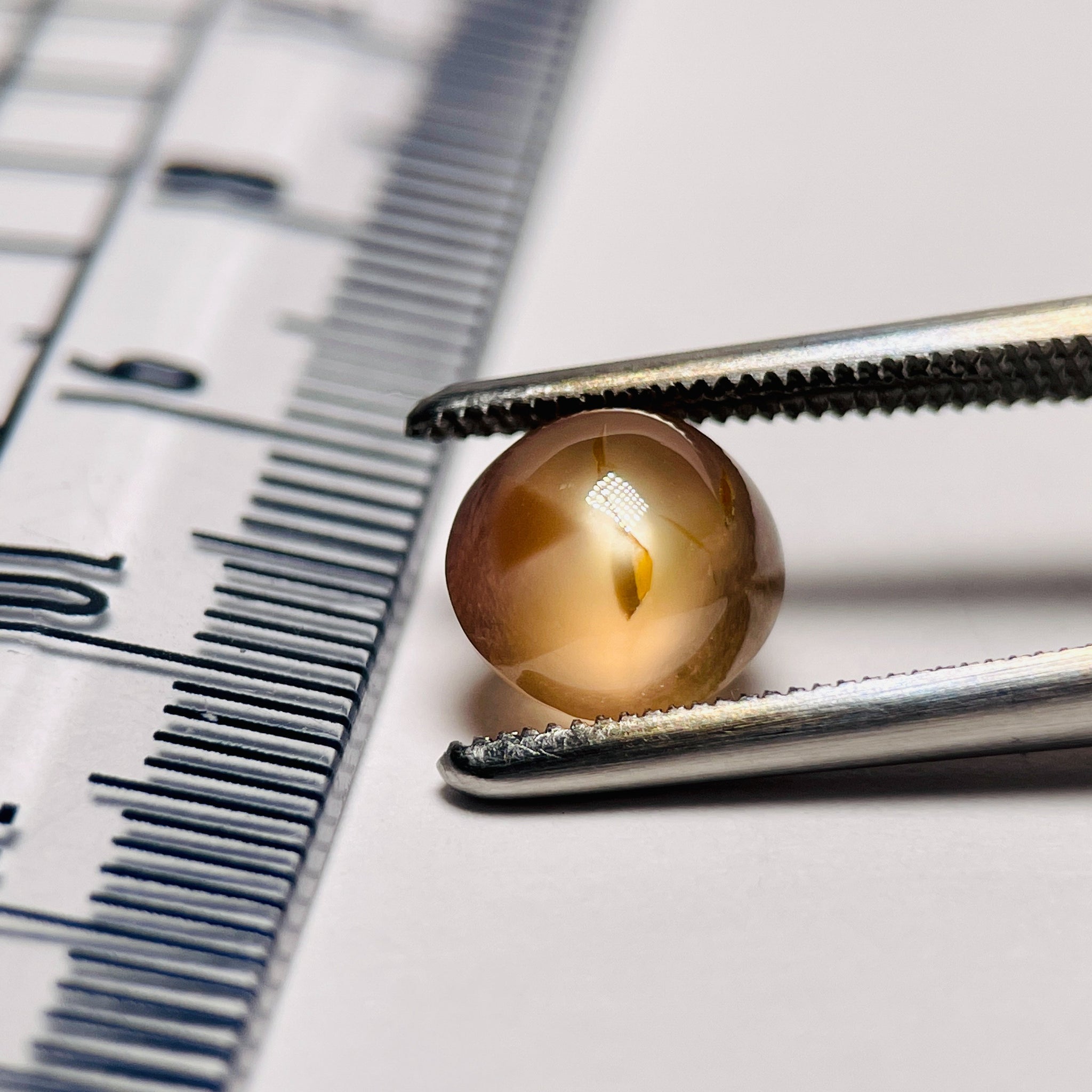 2.84Ct Sapphire Cabochon Seems To Have A Moving Star But As Point Umba Valley Tanzania. Untreated