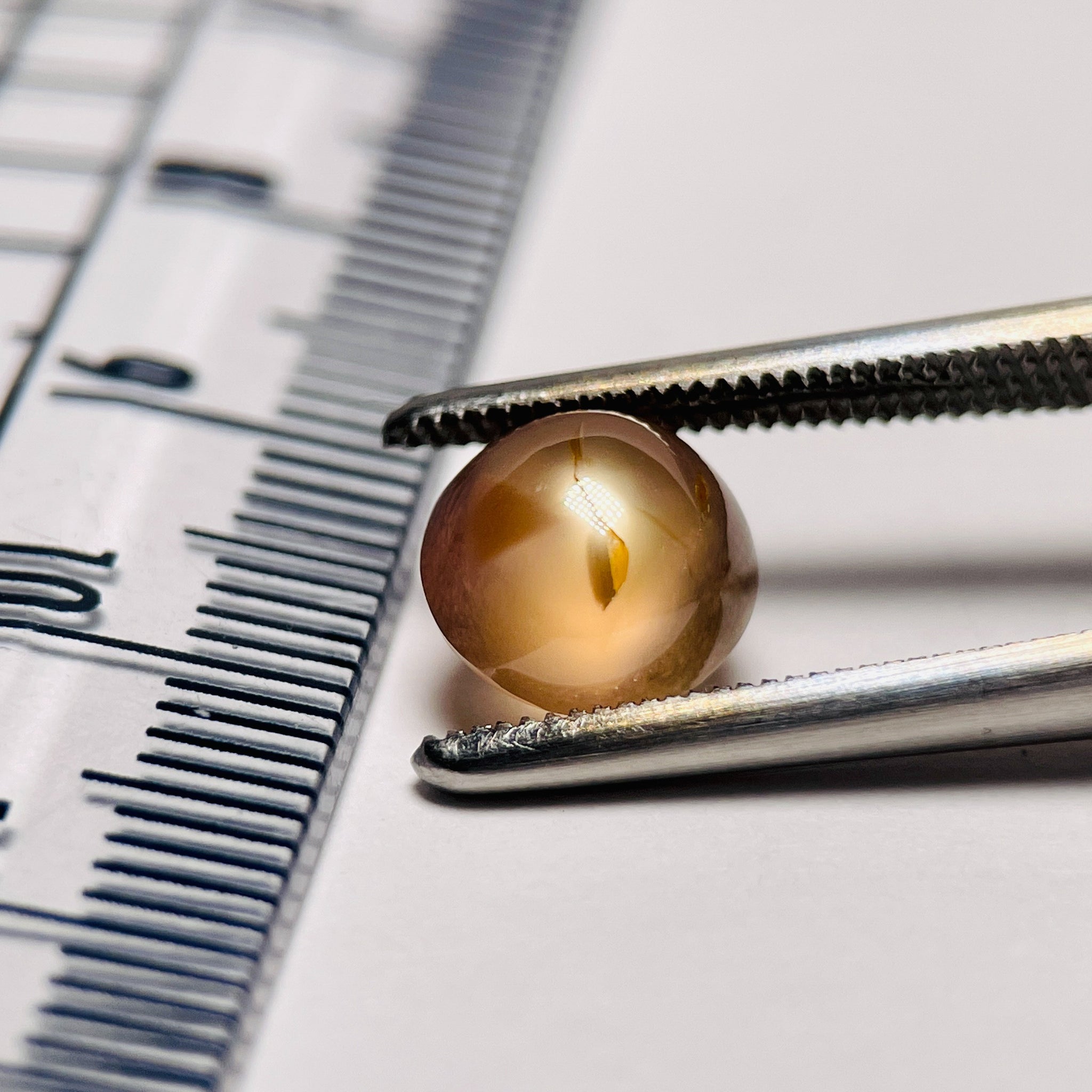 2.84Ct Sapphire Cabochon Seems To Have A Moving Star But As Point Umba Valley Tanzania. Untreated