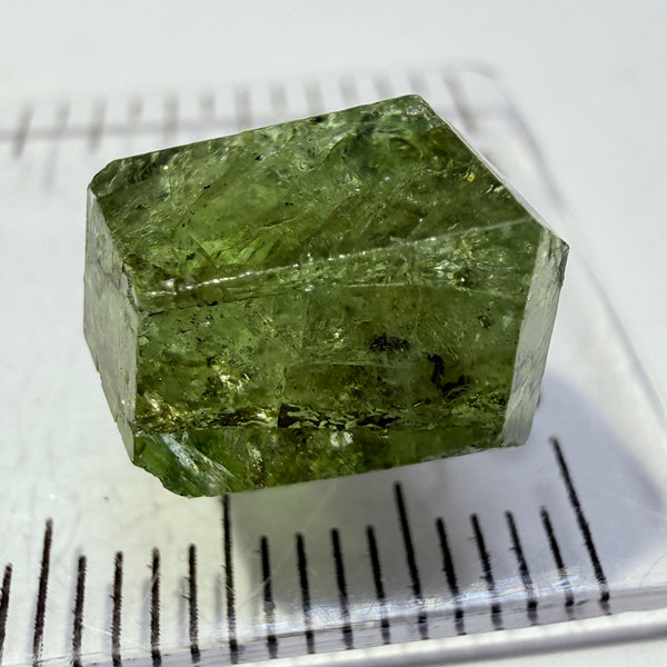 Tsavorite Garnet Floater Crystal, 9.78ct, Merelani, Tanzania, Untreated Unheated