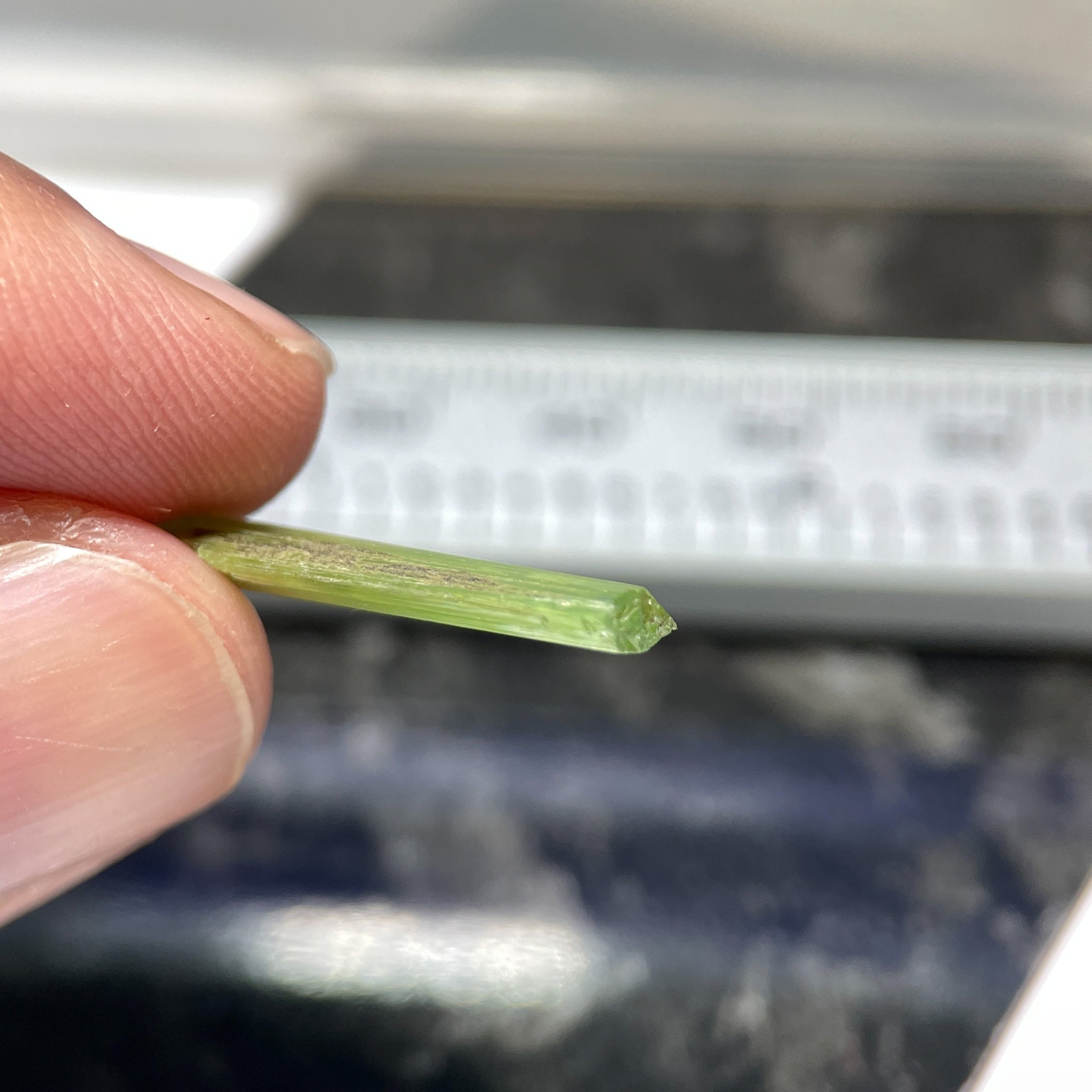 3.75Ct Tremolite Crystal Merelani Tanzania Very Rare