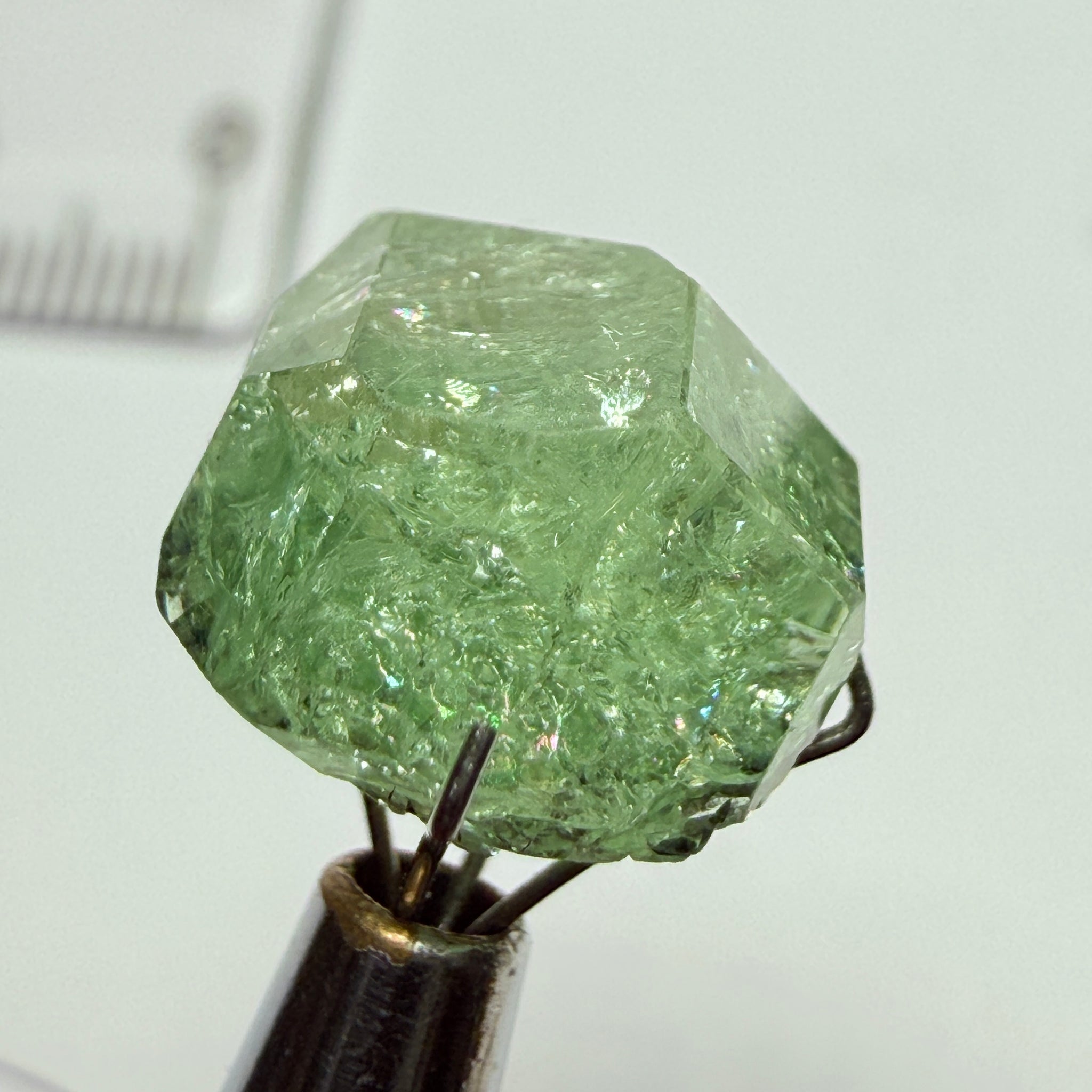 Merelani Mint Garnet Crystal, 8.86ct, Tanzania, Untreated Unheated