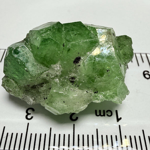 Tsavorite Garnet Crystal on matrix, 14.20gm / 71ct, Merelani, Tanzania, Untreated Unheated