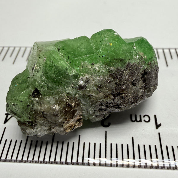 Tsavorite Garnet Crystal on matrix, 14.20gm / 71ct, Merelani, Tanzania, Untreated Unheated