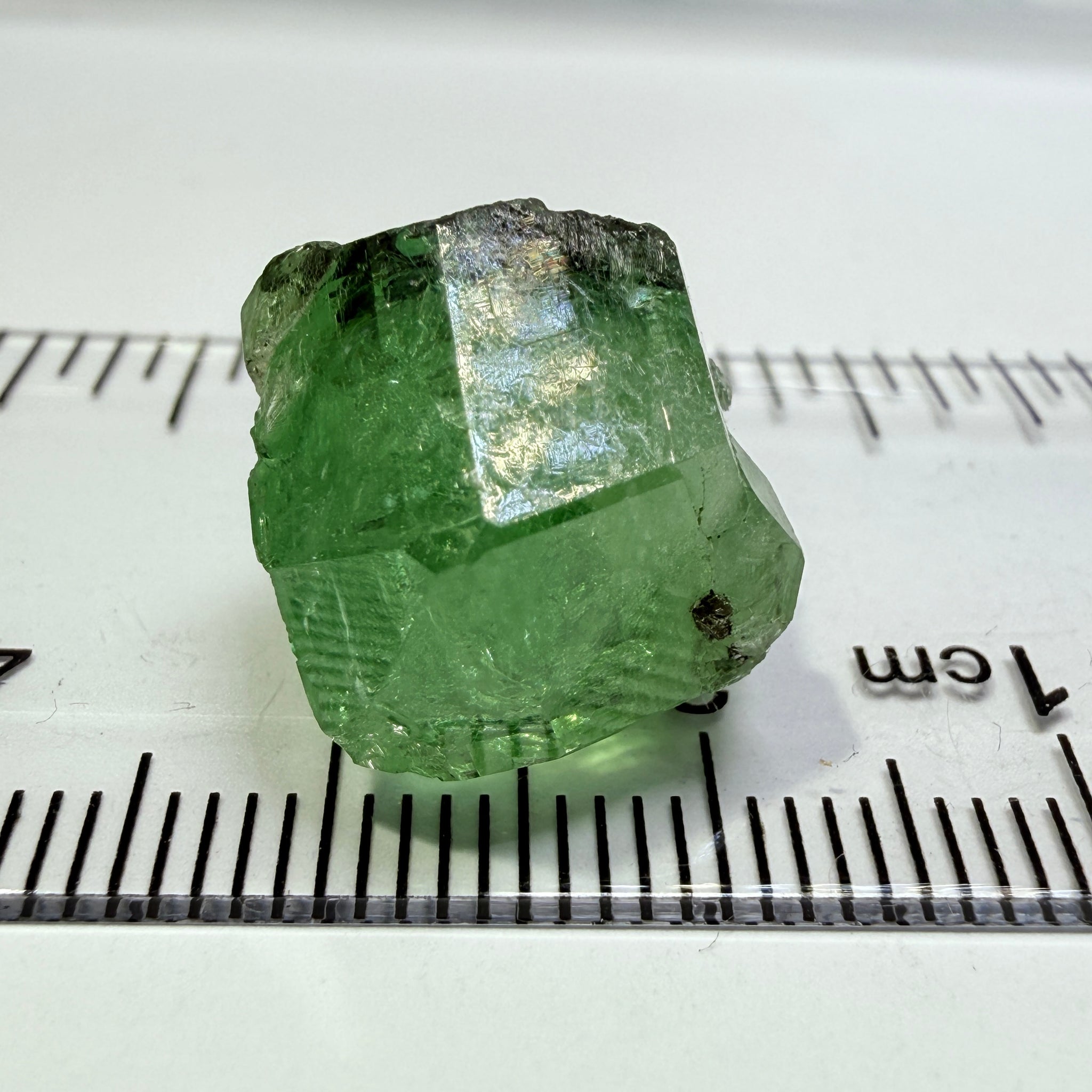 Merelani Mint Garnet Crystal Floater, 20.87ct, Tanzania, Untreated Unheated