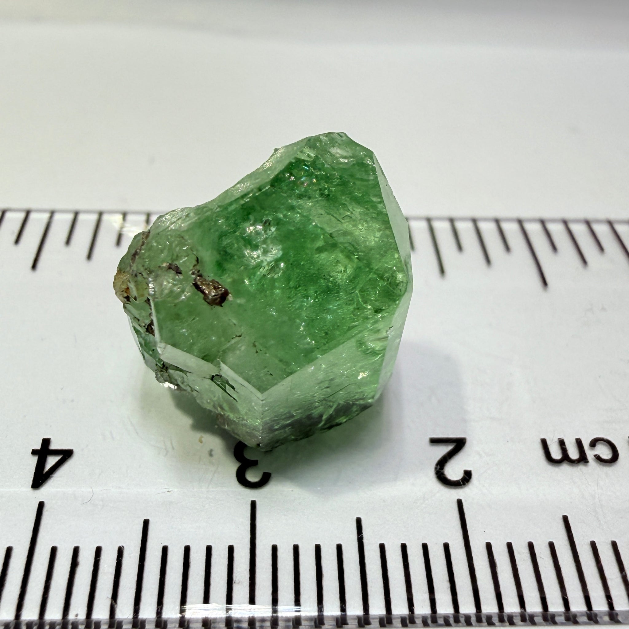 Merelani Mint Garnet Crystal Floater, 20.87ct, Tanzania, Untreated Unheated