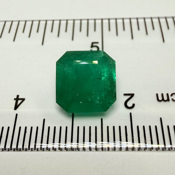 Emerald, 3.94ct, Sumbawanga, Tanzania, Untreated Unheated, no oil