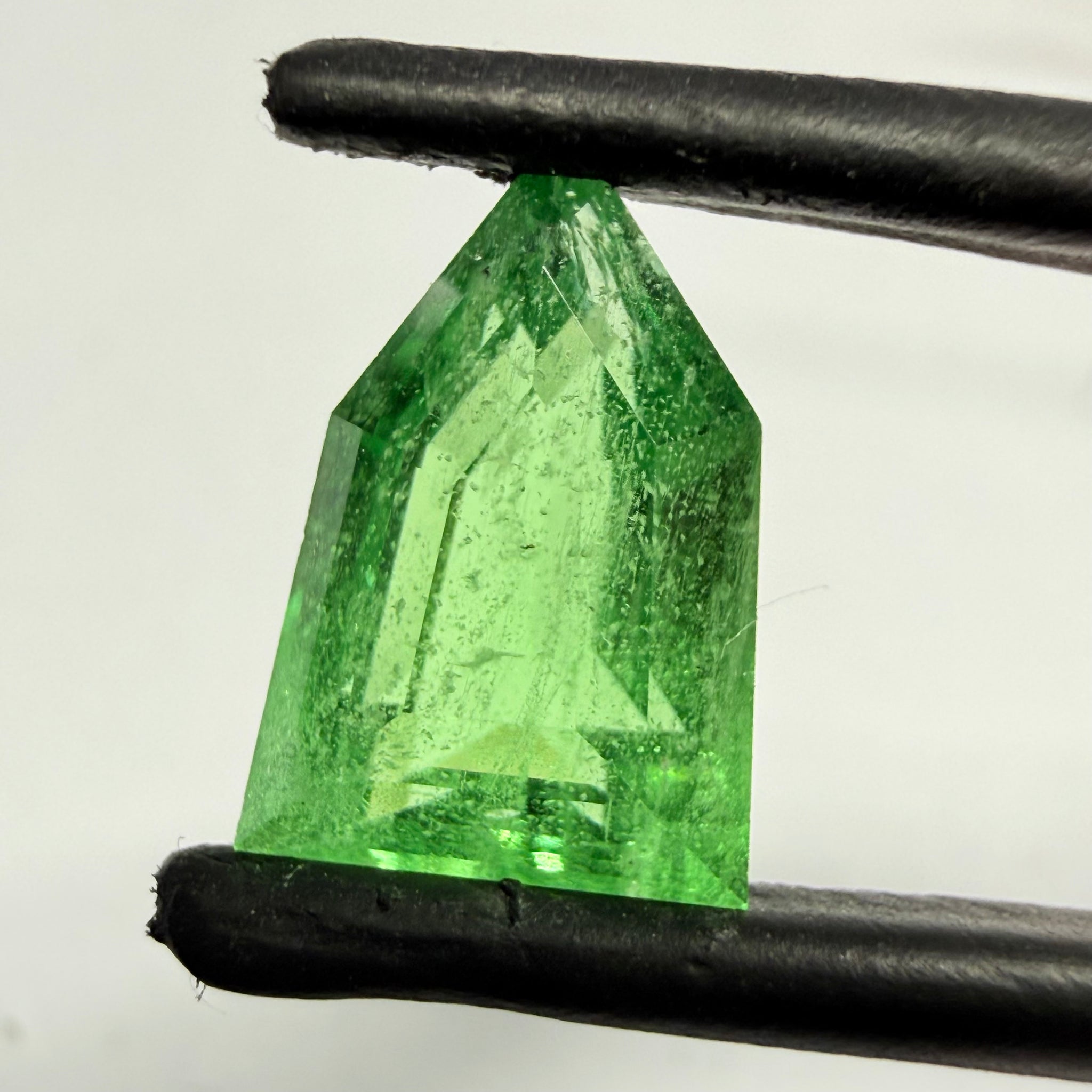 Tsavorite Garnet, 2.60ct, Tanzania, Untreated, Unheated, fancy cut