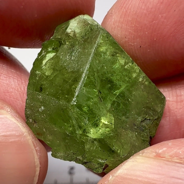 Tsavorite Garnet Crystal, 48.48ct, Merelani, Tanzania, Untreated Unheated