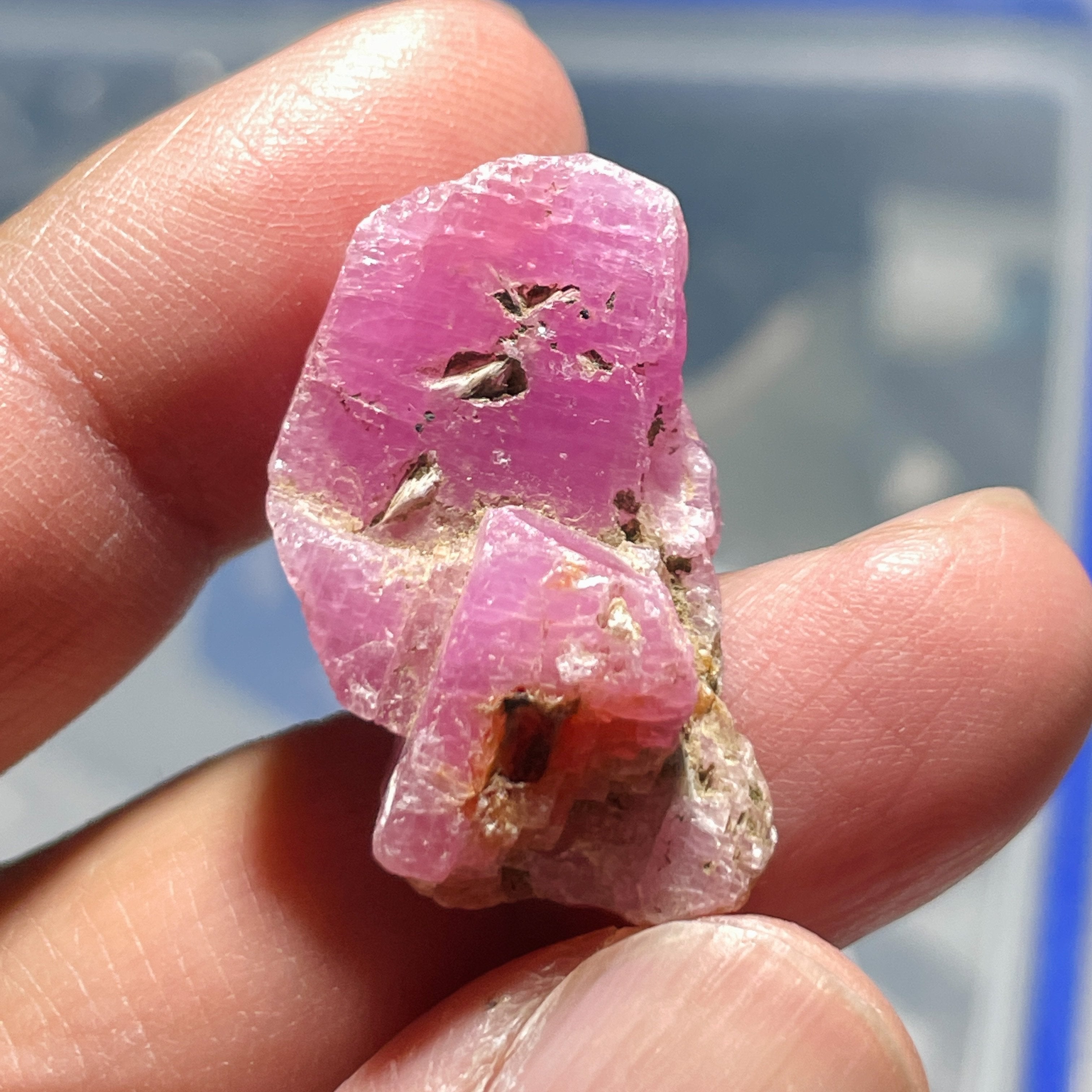 55.00Ct Sapphire Crystal Morogoro Tanzania Untreated Unheated. 3 X 1.73 1.35Cm