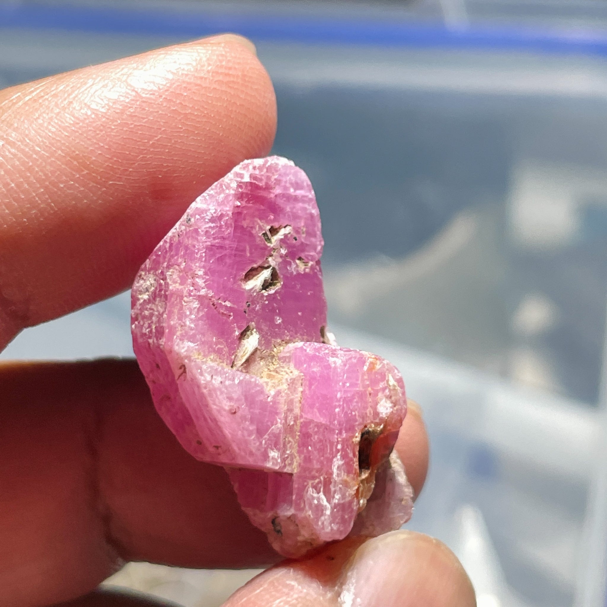 55.00Ct Sapphire Crystal Morogoro Tanzania Untreated Unheated. 3 X 1.73 1.35Cm