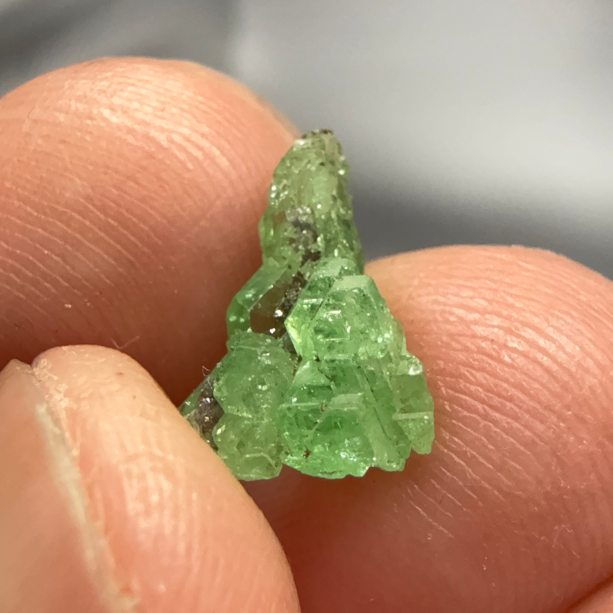 Tsavorite Crystal, 2.81ct, Merelani. Tanzania, Untreated Unheated
