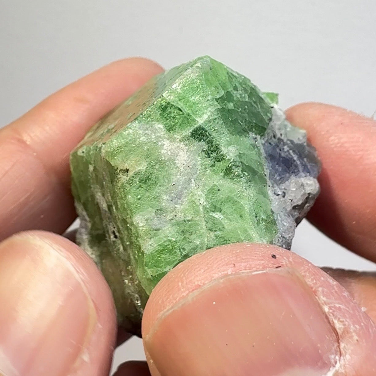 Tsavorite Garnet Crystal with Tanzanite, 248.18ct, Merelani, Tanzania, Untreated Unheated