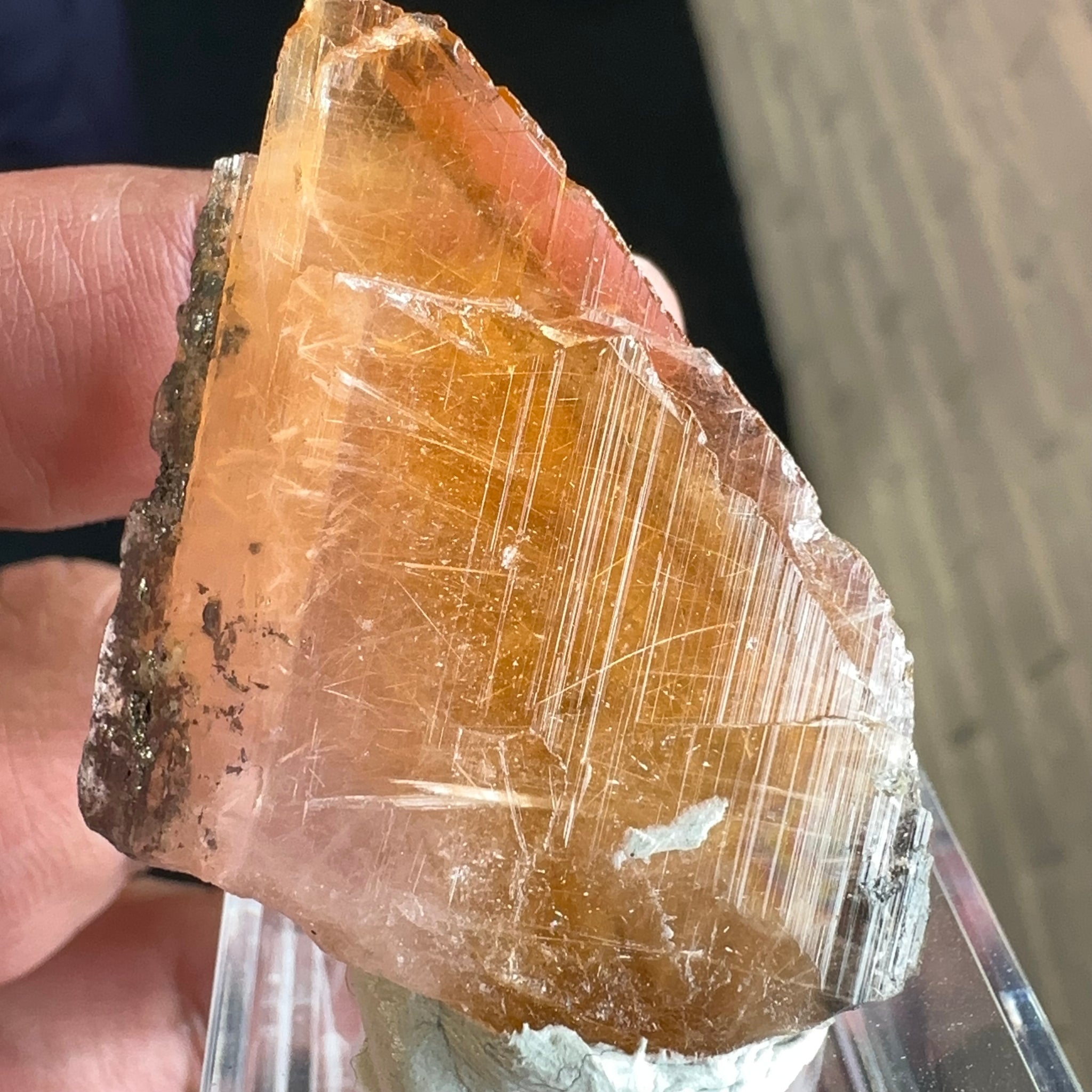 Magnesio Axinite, 22.70gm, Crystal, Merelani, Tanzania. 48.0 x 33.10 x 10.7mm, Untreated Unheated