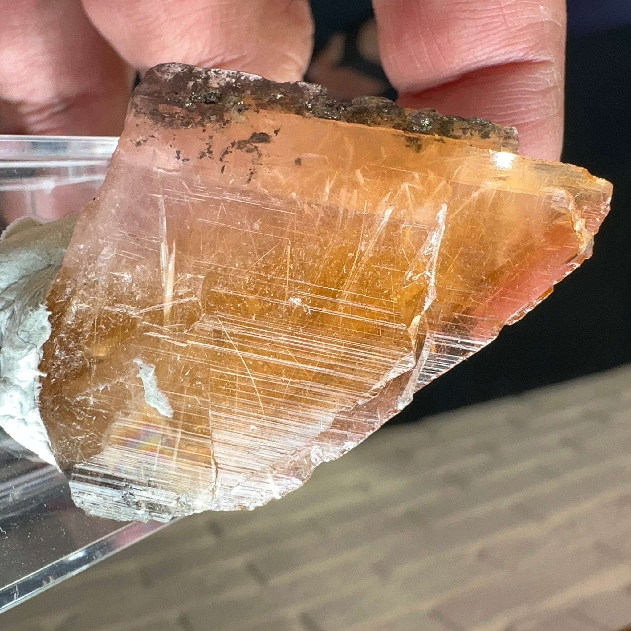 Magnesio Axinite, 22.70gm, Crystal, Merelani, Tanzania. 48.0 x 33.10 x 10.7mm, Untreated Unheated