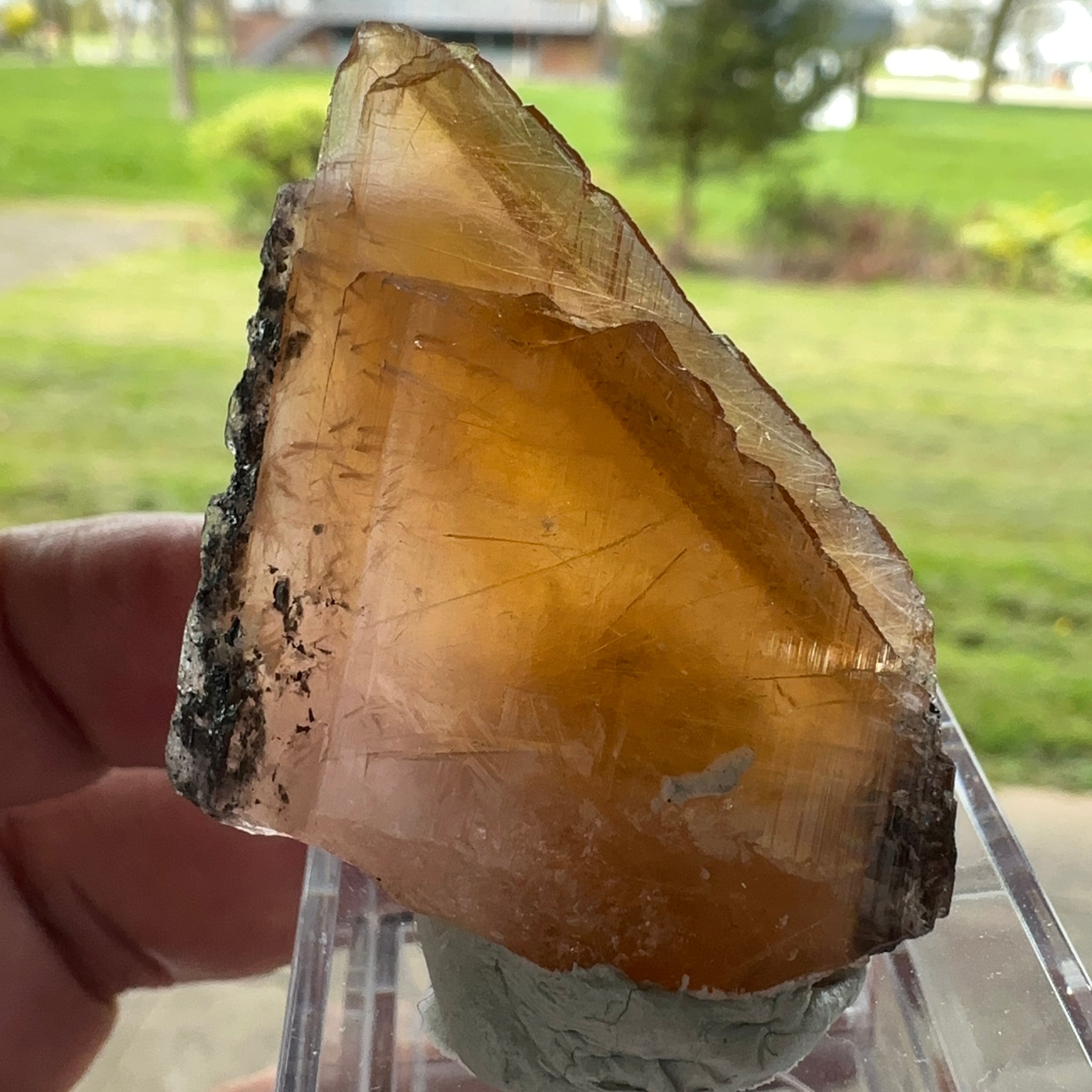 Magnesio Axinite, 22.70gm, Crystal, Merelani, Tanzania. 48.0 x 33.10 x 10.7mm, Untreated Unheated