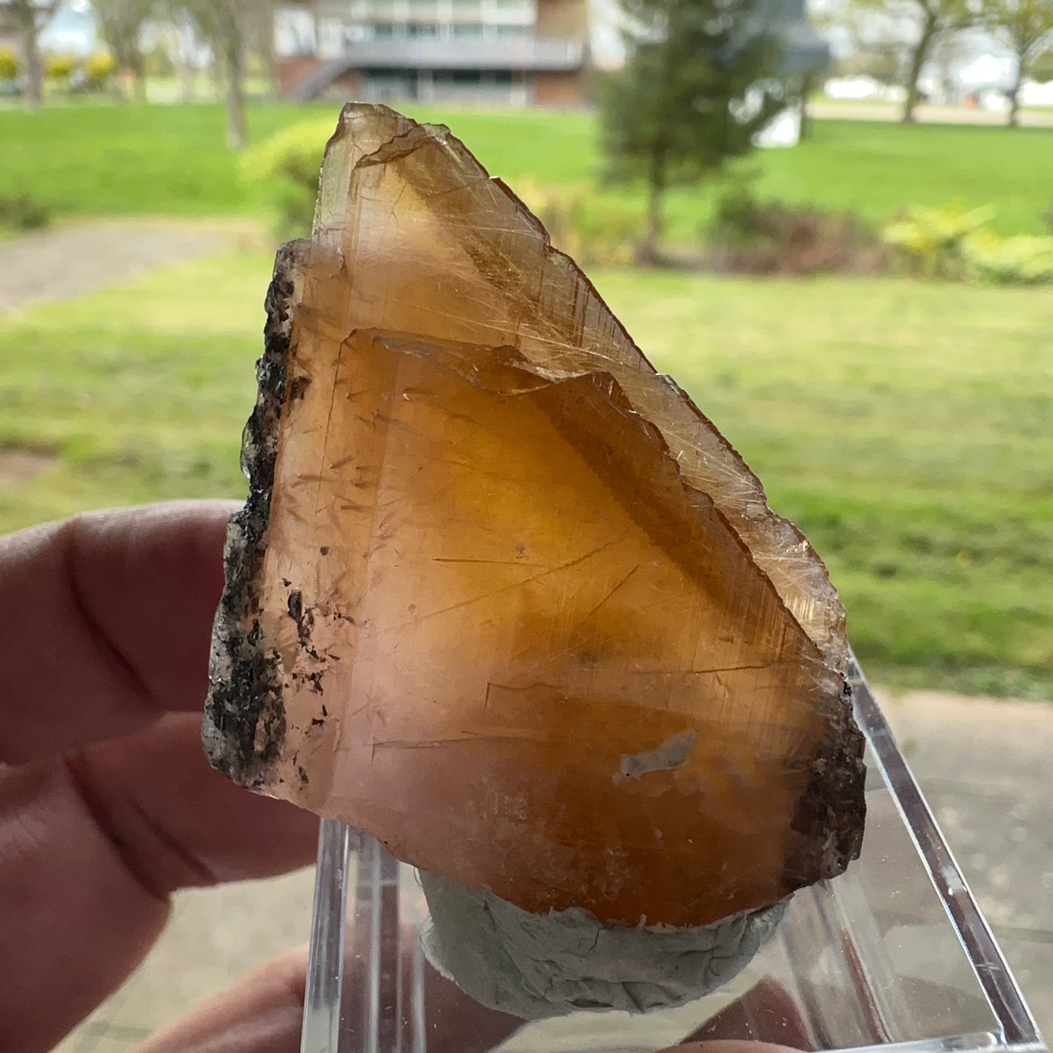 Magnesio Axinite, 22.70gm, Crystal, Merelani, Tanzania. 48.0 x 33.10 x 10.7mm, Untreated Unheated