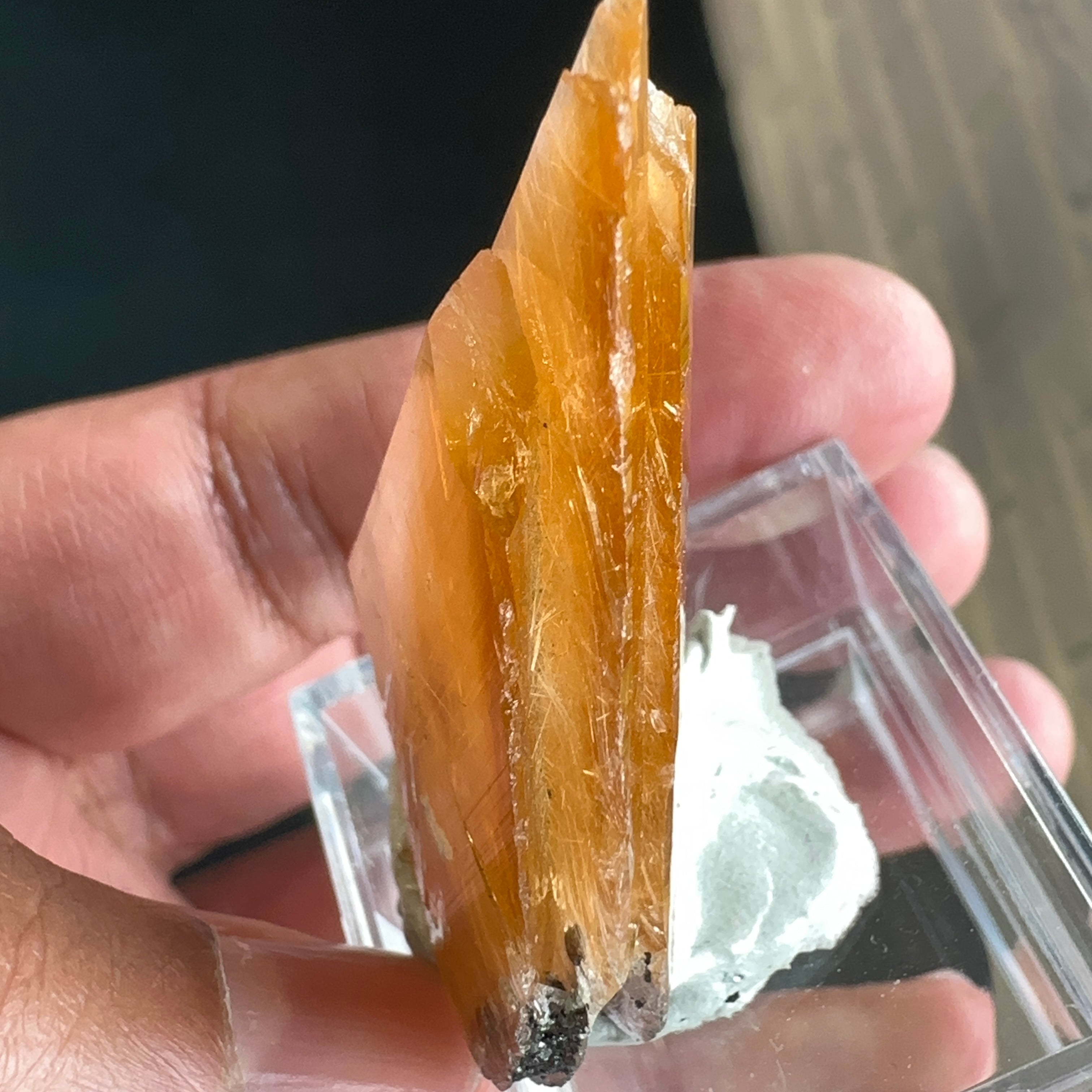 22.70gm Magnesio Axinite, Crystal, Merelani, Tanzania. 48.0 x 33.10 x 10.7mm, Untreated Unheated