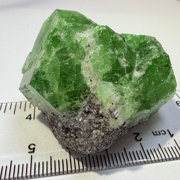 Tsavorite Garnet Crystal, with Tanzanite, 395.50ct, Merelani, Tanzania, Untreated Unheated