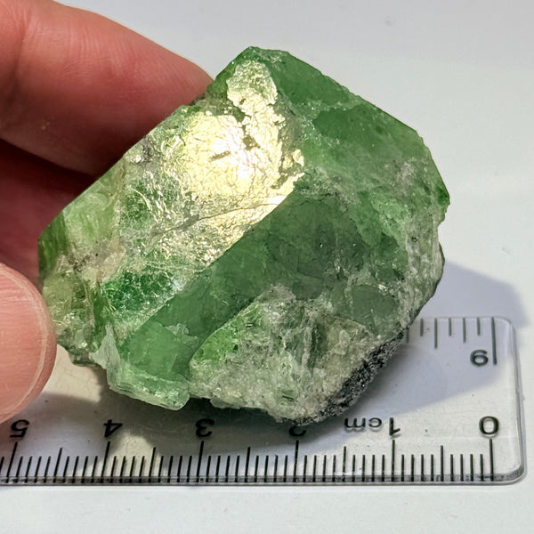 Tsavorite Garnet Crystal, 447.50ct, Merelani, Tanzania, Untreated Unheated