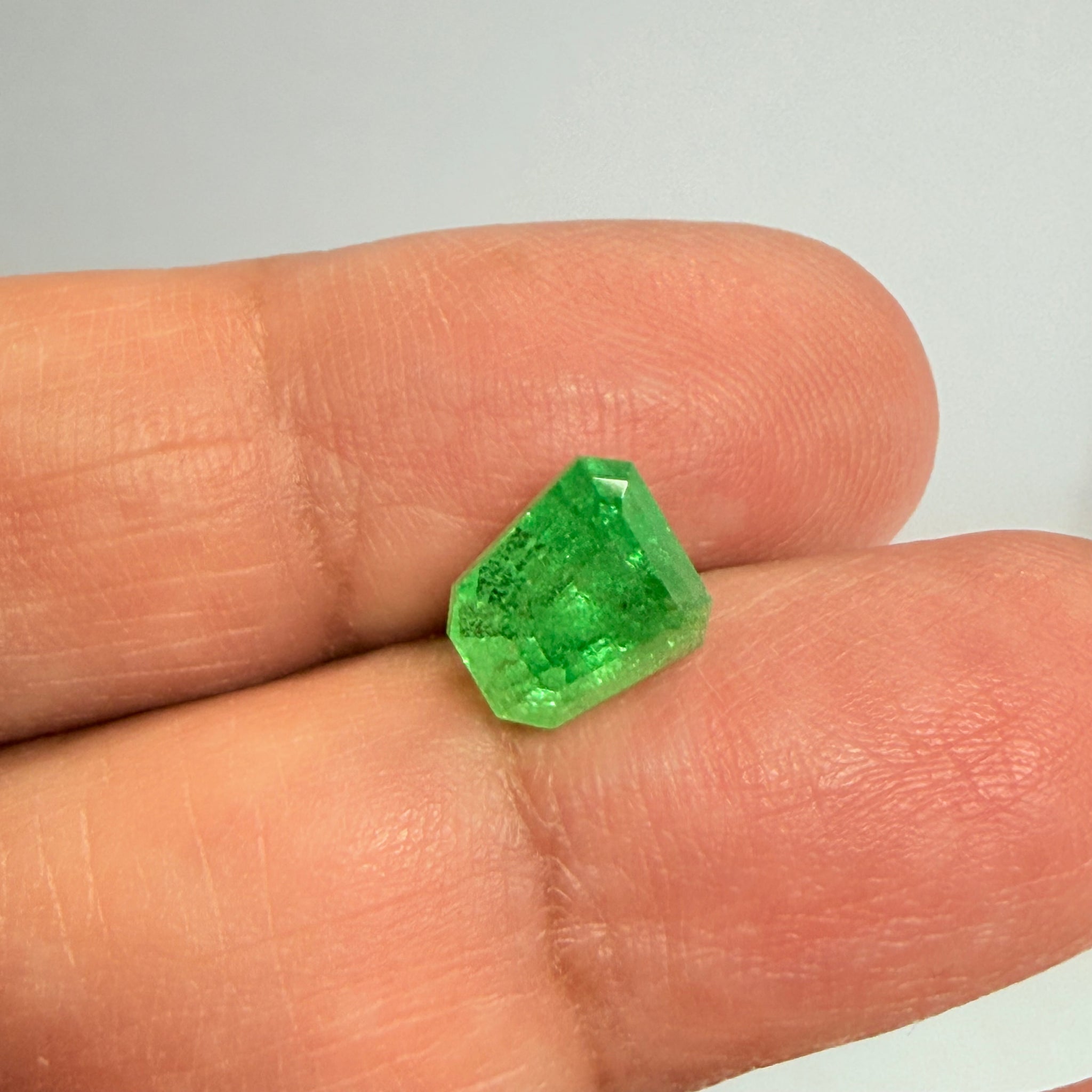 Tsavorite Garnet, Fancy Freeform Cut, 4.39ct, Tanzania, Untreated Unheated