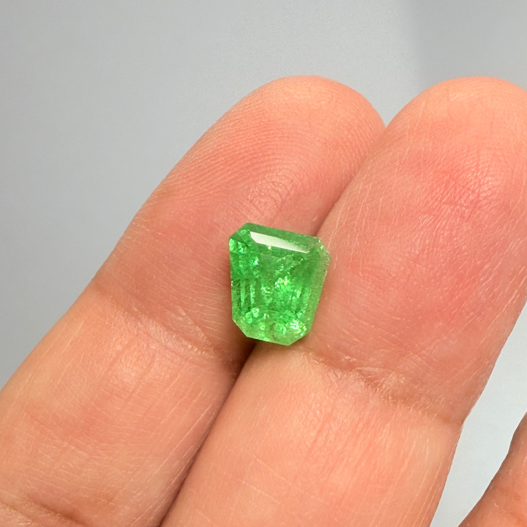Tsavorite Garnet, Fancy Freeform Cut, 4.39ct, Tanzania, Untreated Unheated