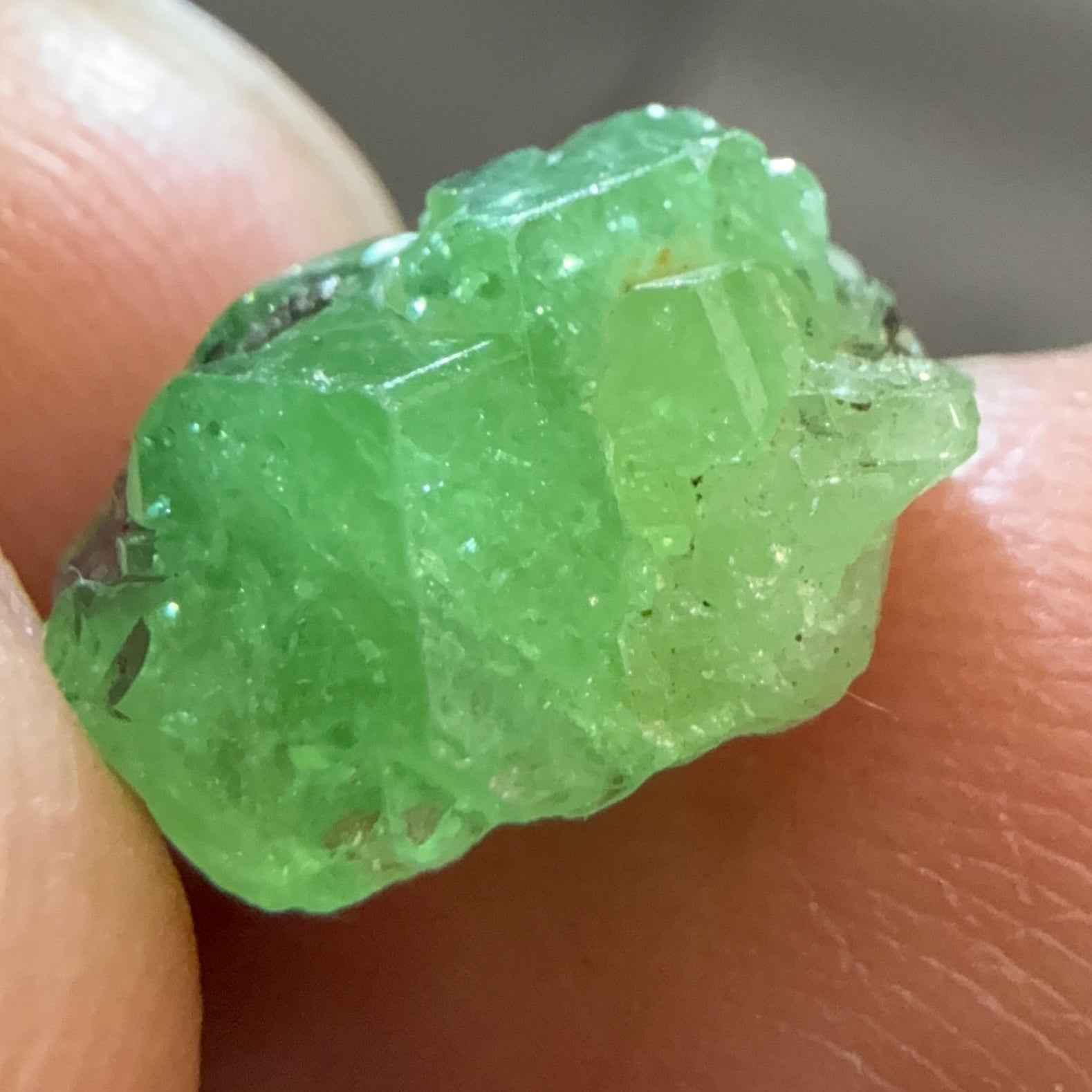 Tsavorite Crystal on Matrix. 6.87ct, Merelani. Tanzania, Untreated Unheated