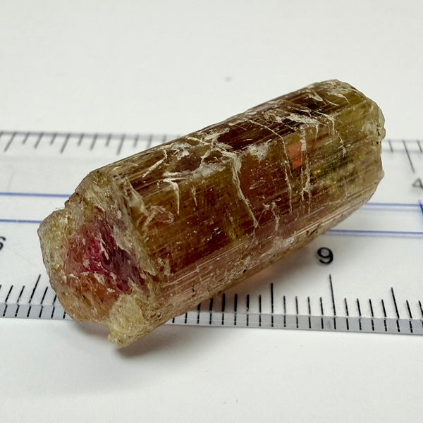 Congo Tourmaline Crystal, 43.61ct, Congo, Untreated Unheated, heavily included but great as a specimen