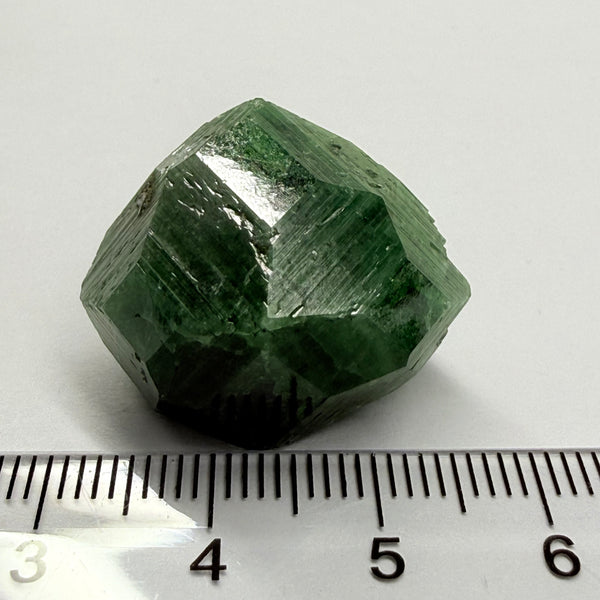 Tourmaline Crystal, 80.65ct, Laletema, Tanzania, Untreated Unheated