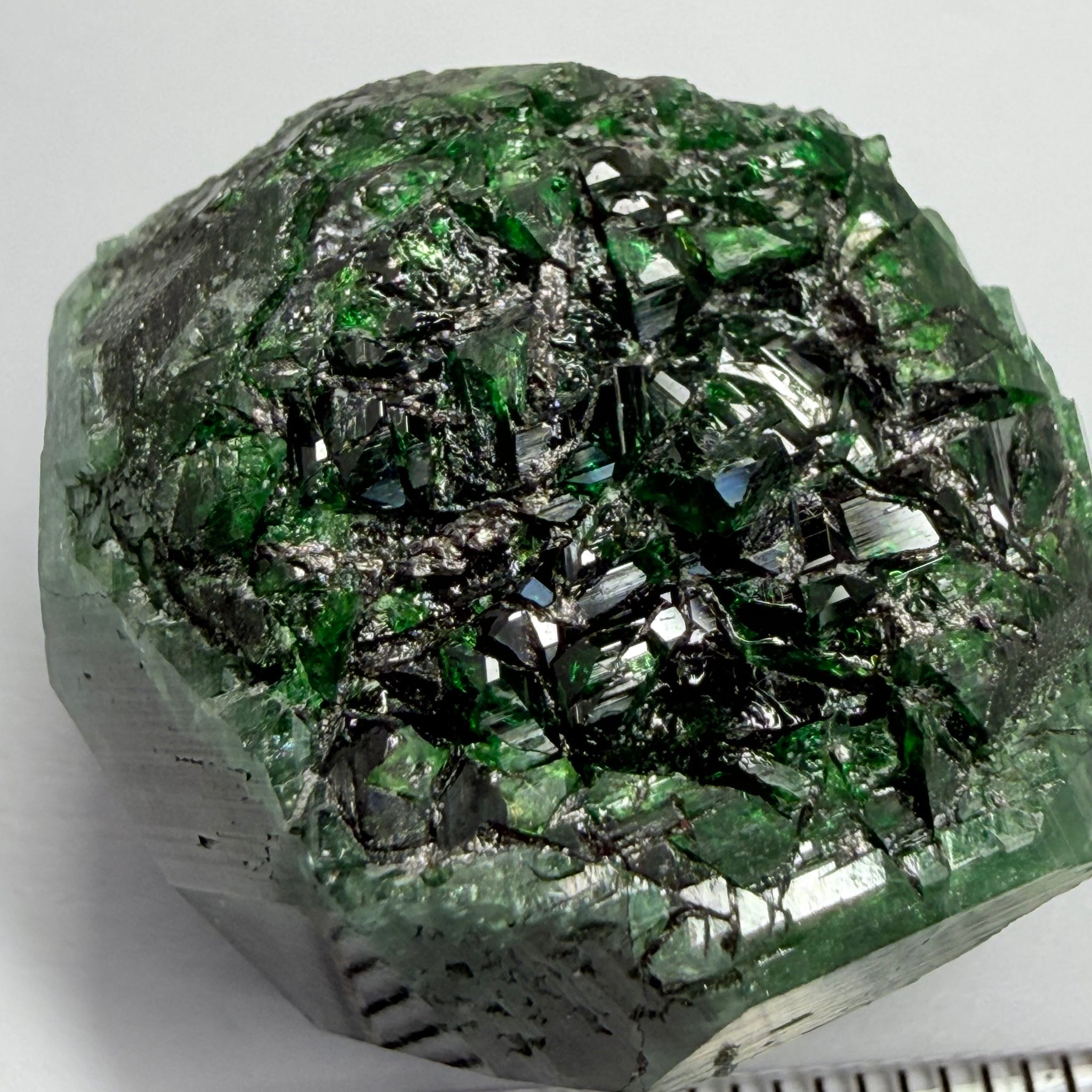 Tourmaline Crystal, 80.65ct, Laletema, Tanzania, Untreated Unheated