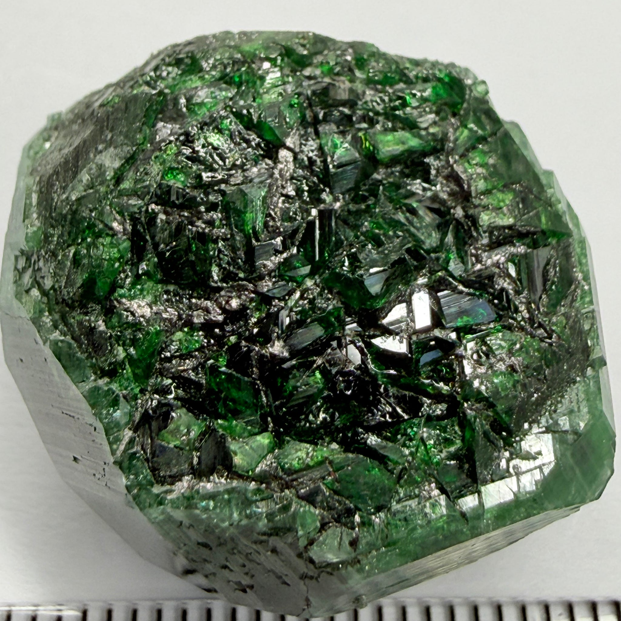 Tourmaline Crystal, 80.65ct, Laletema, Tanzania, Untreated Unheated