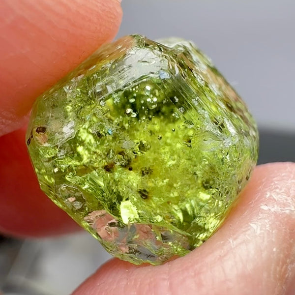 Tourmaline Crystal, 8.88ct, Laletema, Untreated Unheated, heavily included but great as a specimen, you must see the video of the inclusions zoomed in