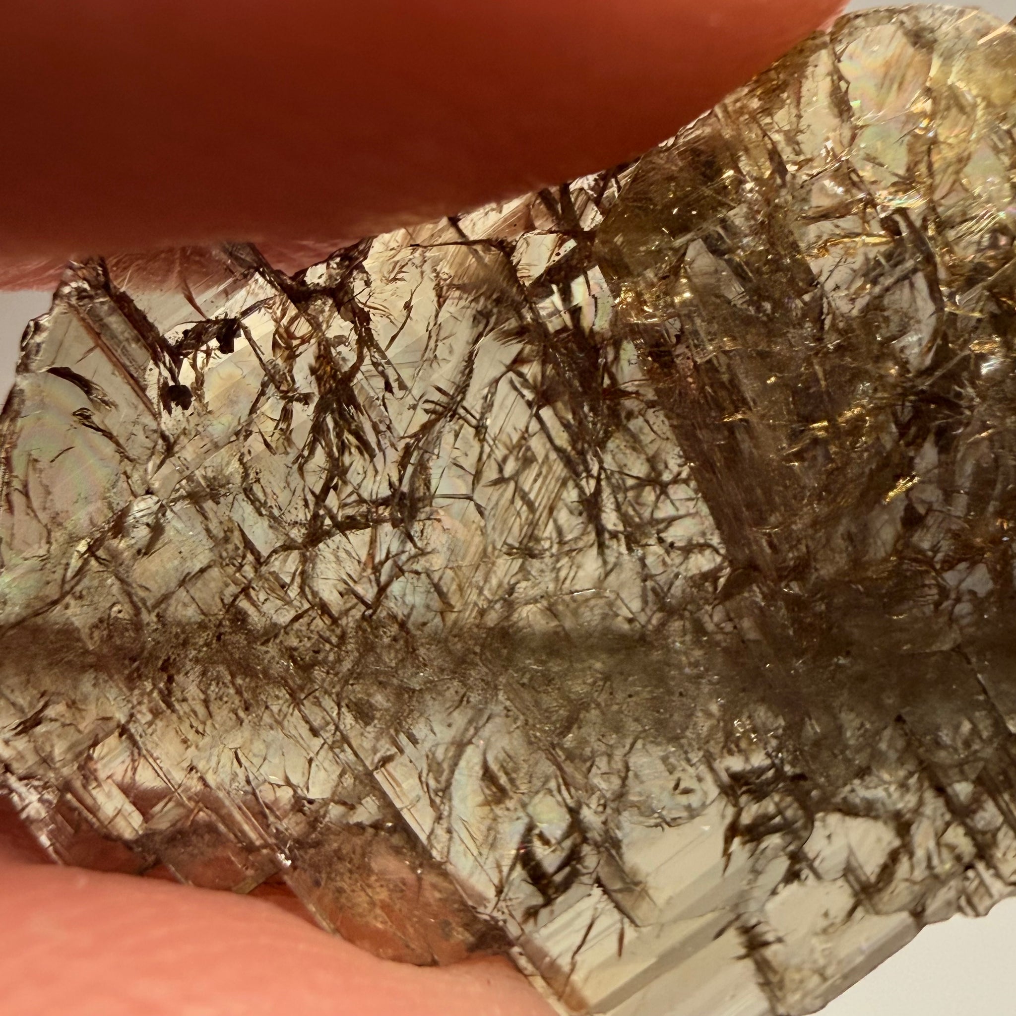 Tanzanite Crystal, 13.05ct, Merelani, Tanzania, Untreated Unheated, a complex crystal floater, crystallised on both sides