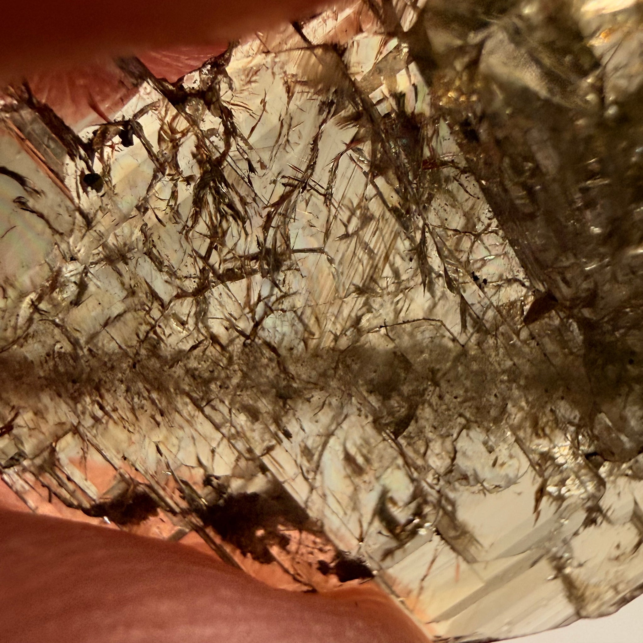 Tanzanite Crystal, 13.05ct, Merelani, Tanzania, Untreated Unheated, a complex crystal floater, crystallised on both sides