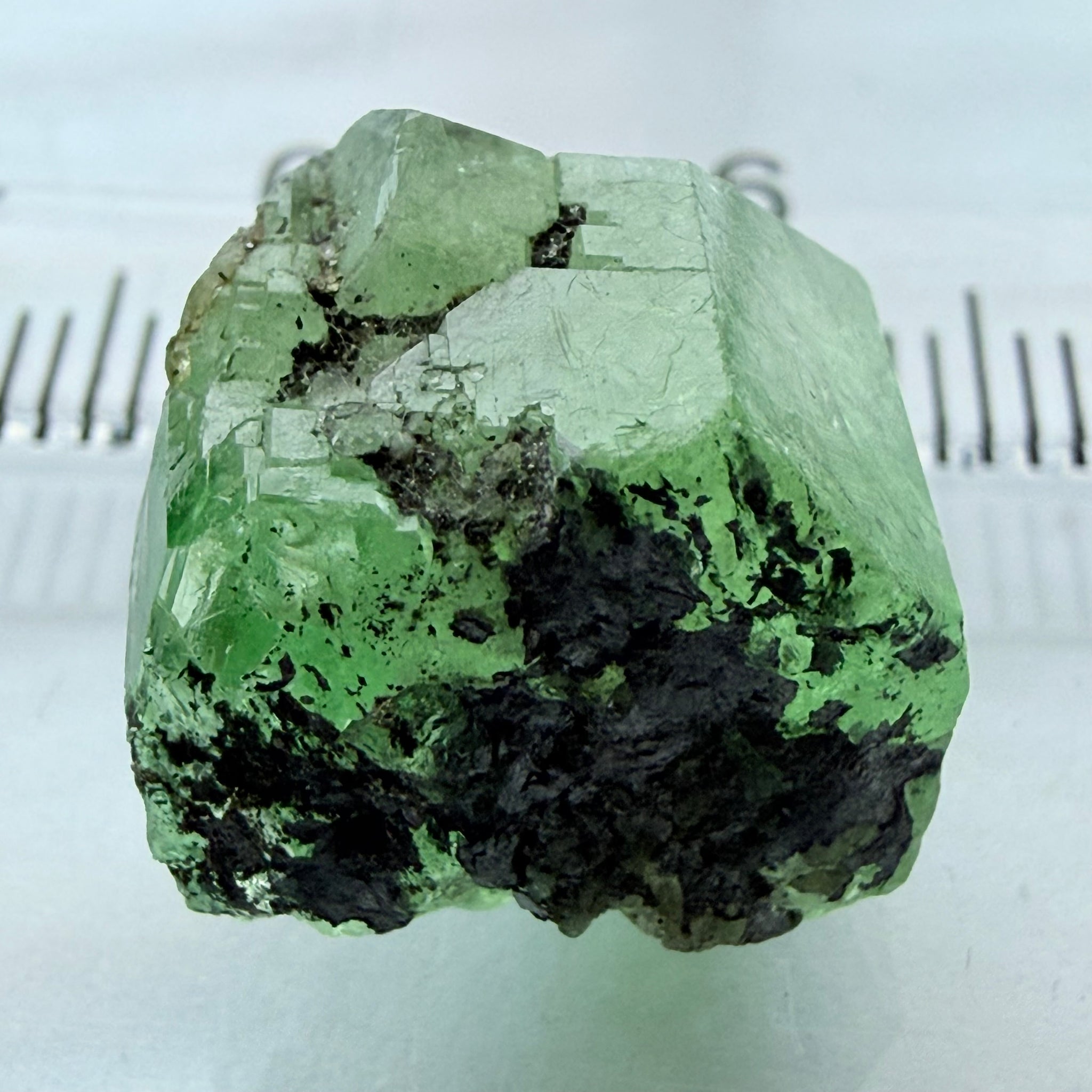 Merelani Mint Garnet Crystal, 20.87ct, Tanzania, Untreated Unheated