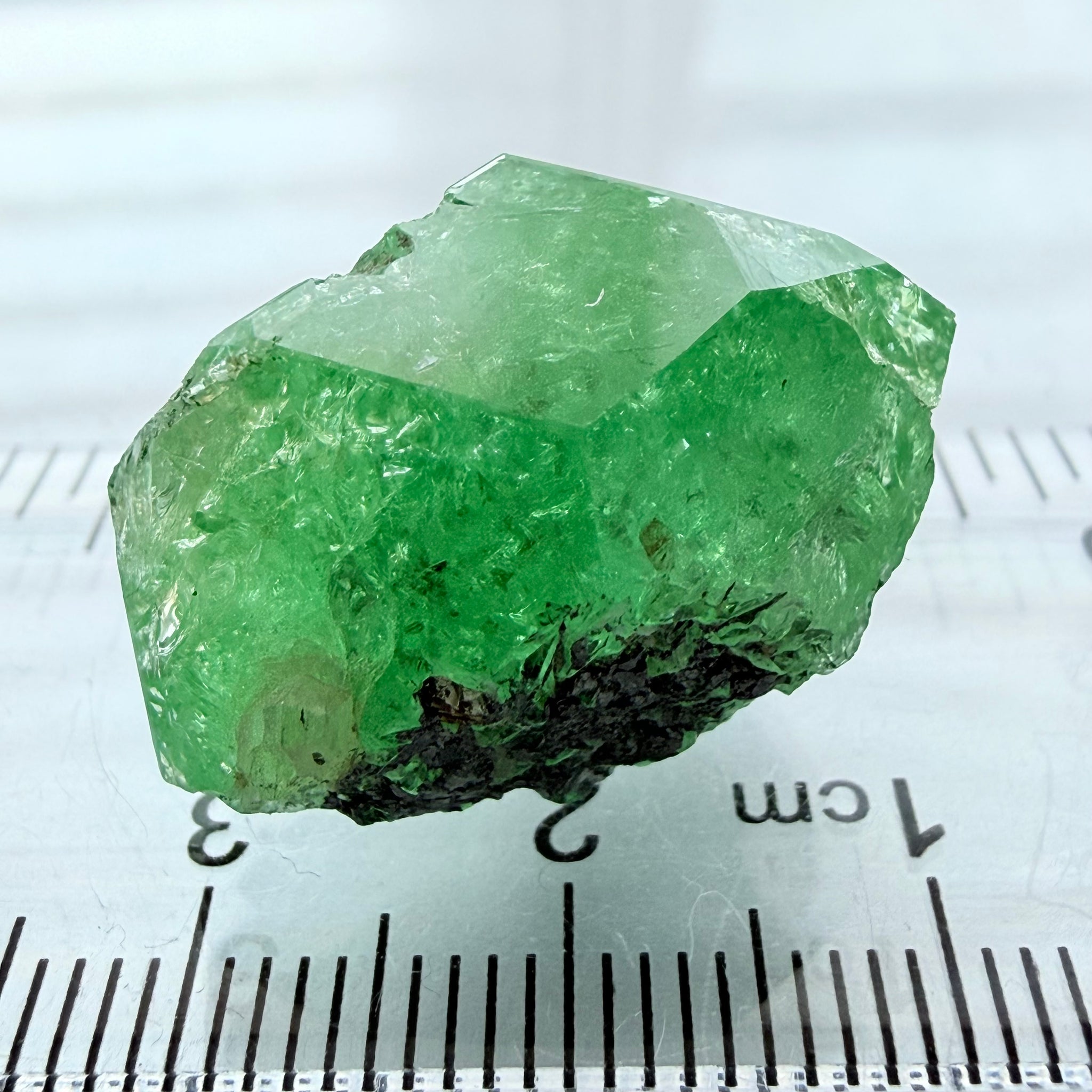 Merelani Mint Garnet Crystal, 53.94ct, Tanzania, Untreated Unheated