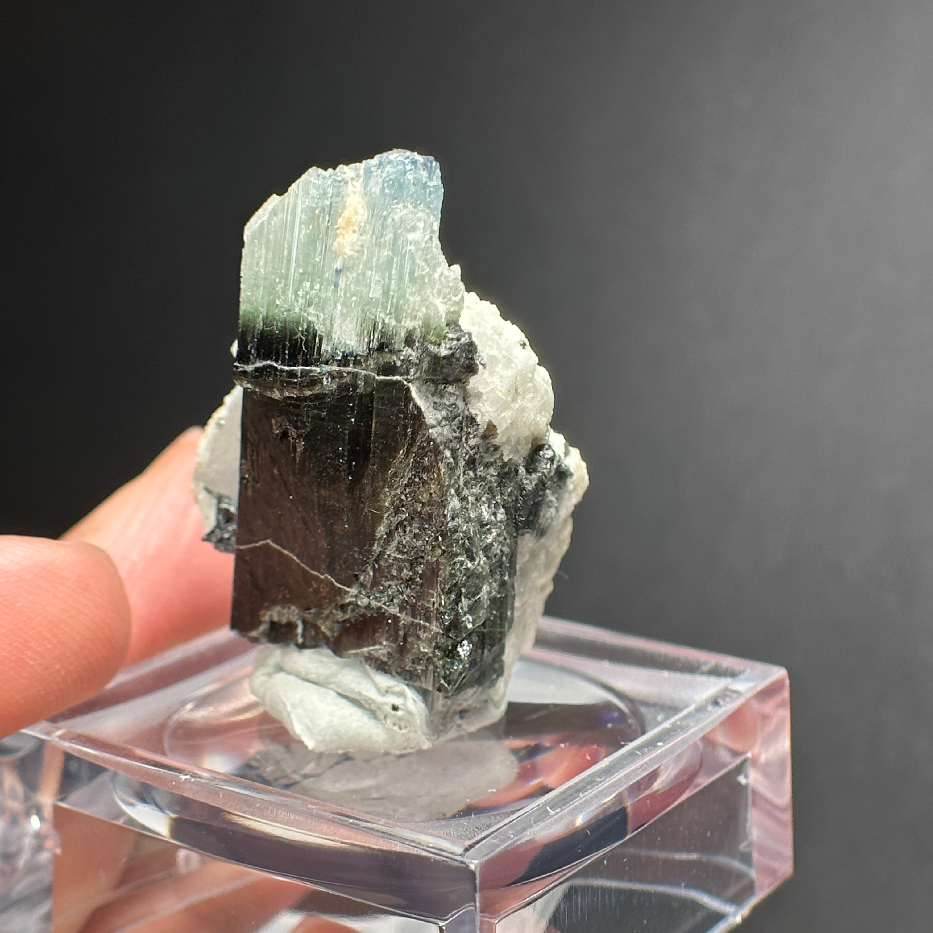 22.27gm Tourmaline Crystal, Mwajanga, Landanai, Tanzania. Untreated Unheated
