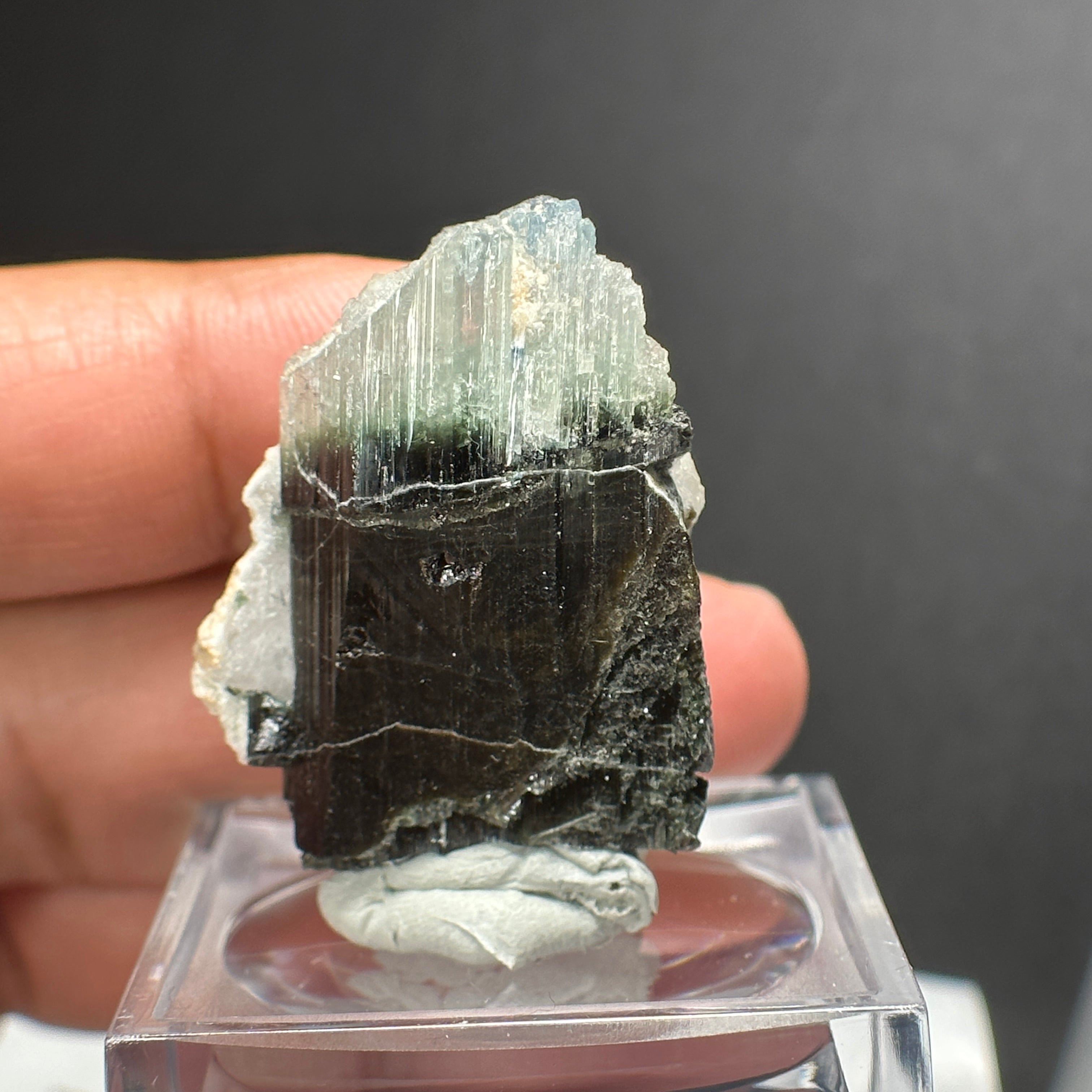 22.27gm Tourmaline Crystal, Mwajanga, Landanai, Tanzania. Untreated Unheated