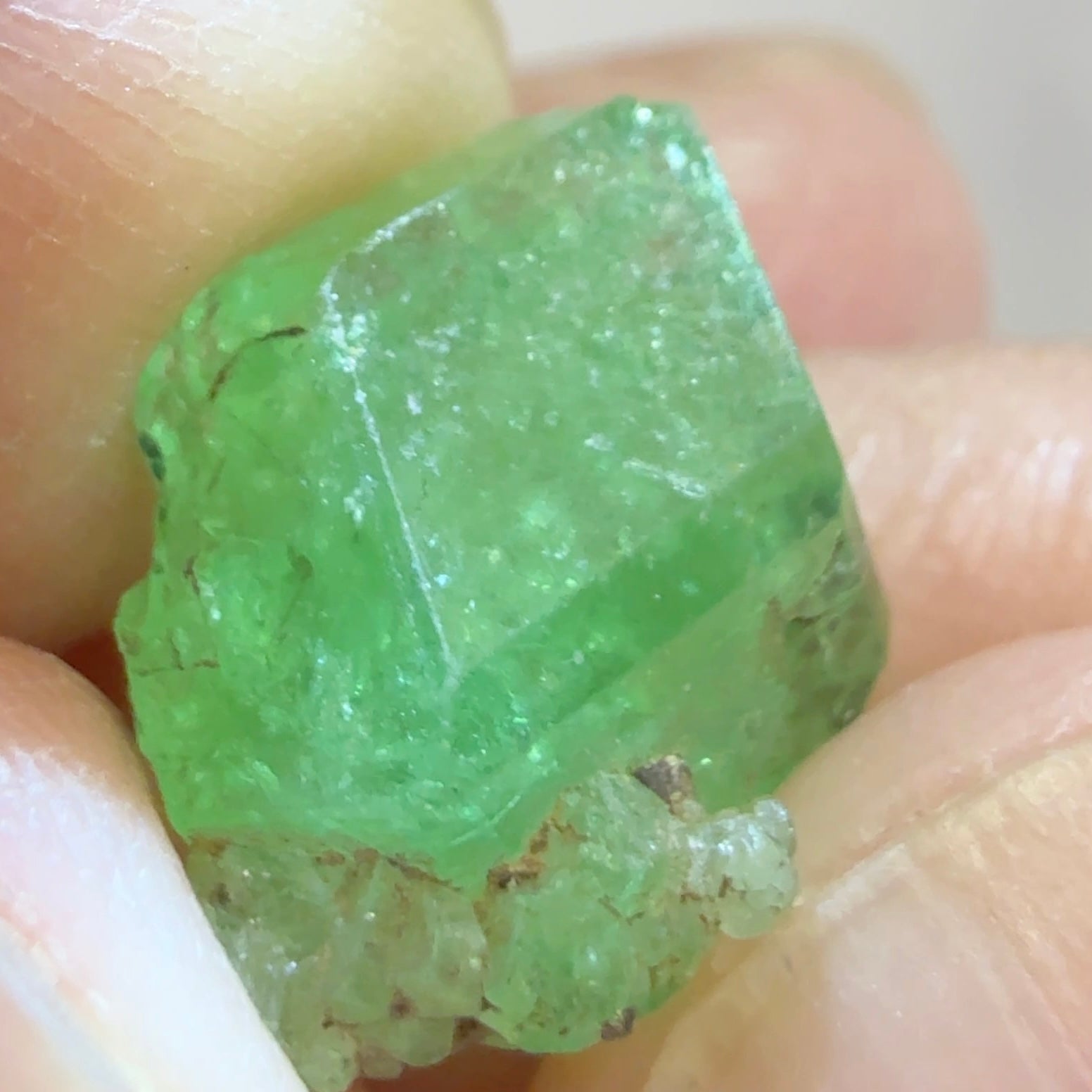 Tsavorite Crystal, 7.28ct, Merelani. Tanzania, Untreated Unheated
