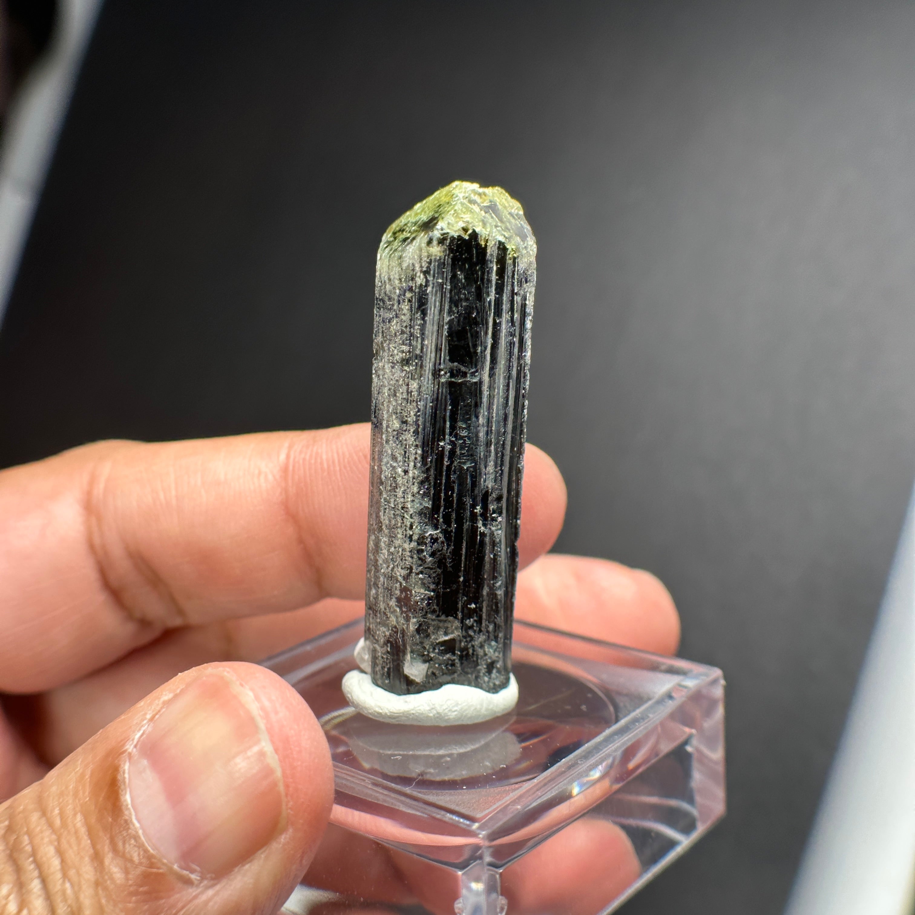15.80gm Tourmaline Crystal, Mwajanga, Landanai, Tanzania.