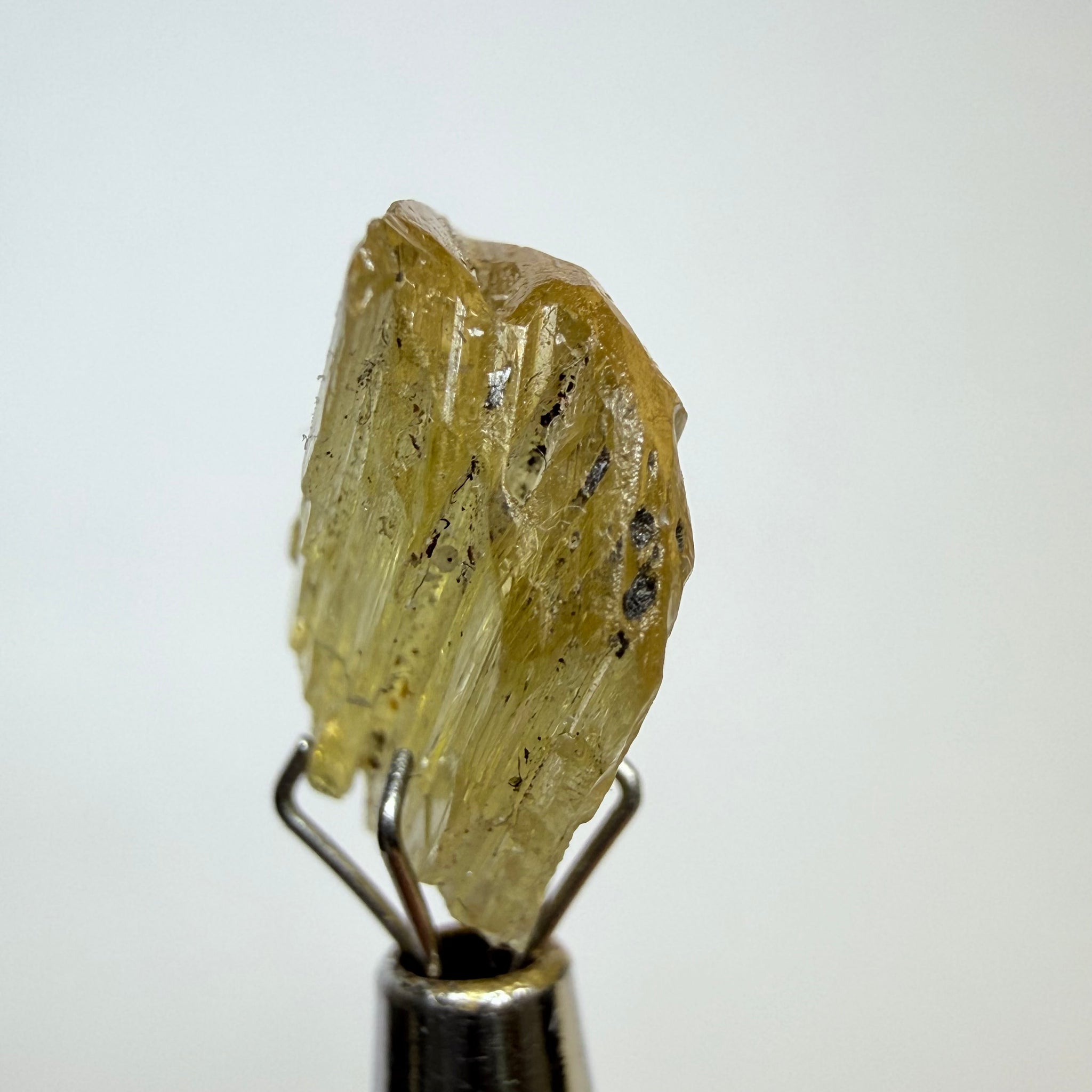 Tanzanite Crystal, 6.00ct, Merelani, Tanzania, Untreated Unheated