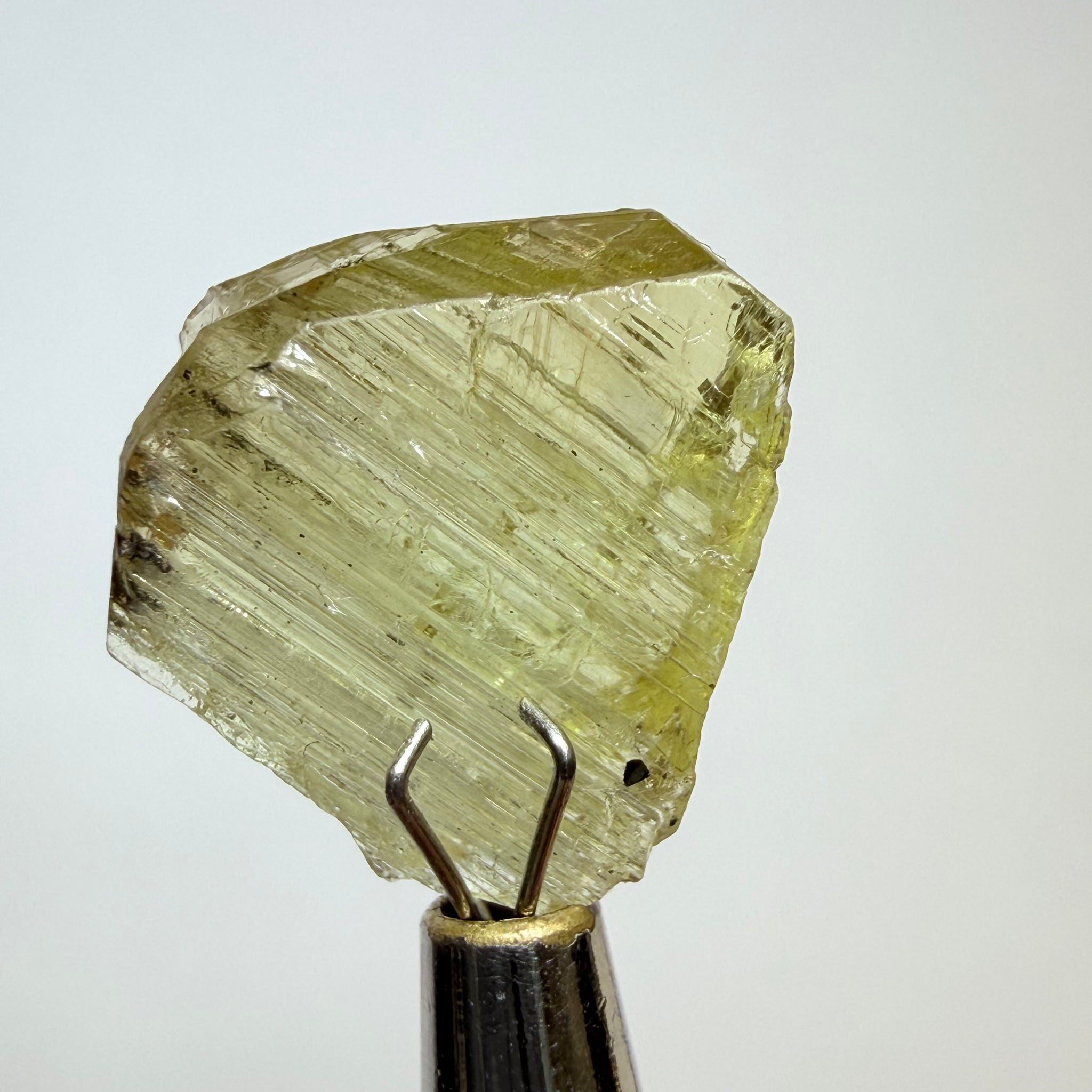 Tanzanite Crystal, 6.00ct, Merelani, Tanzania, Untreated Unheated