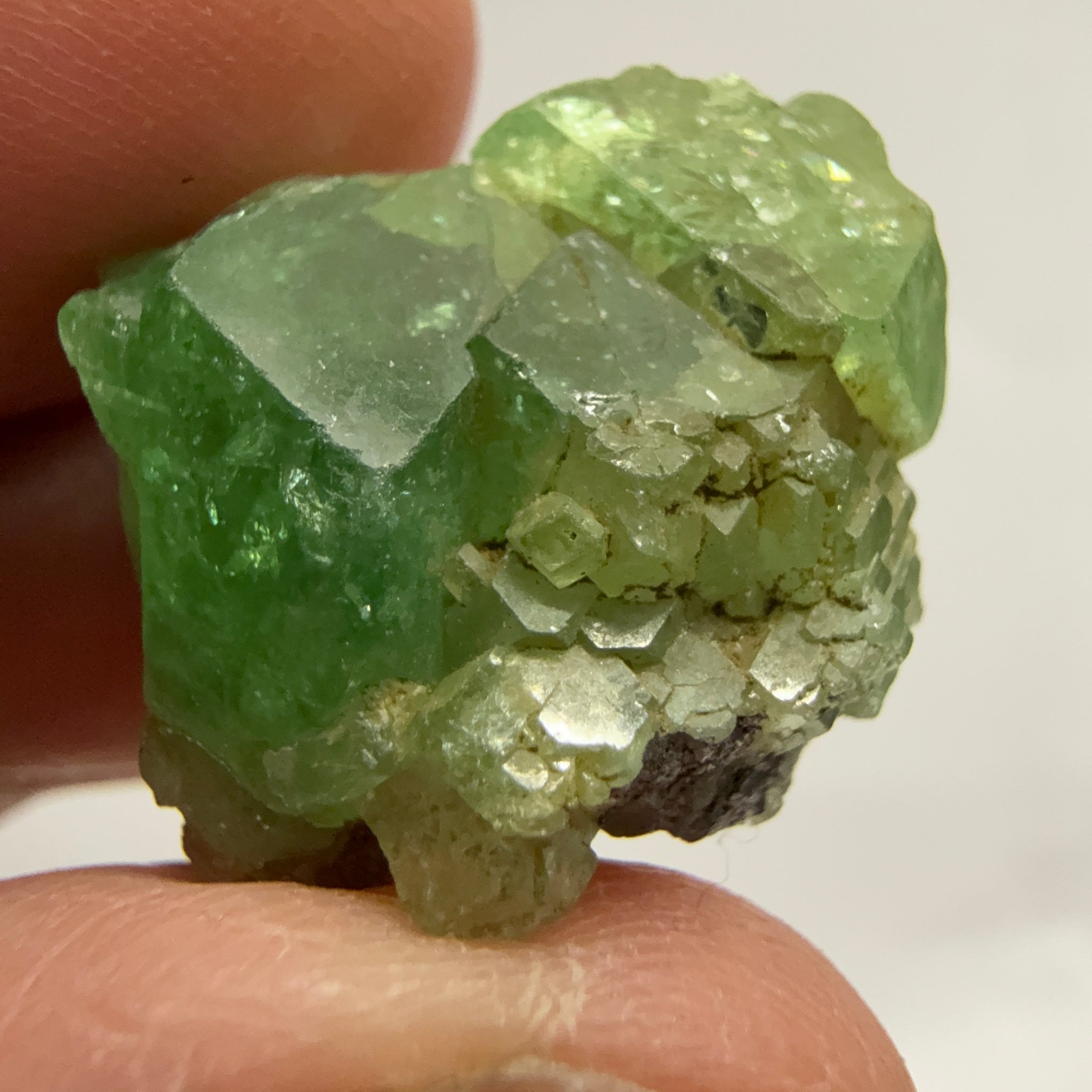 Tsavorite Crystal on Matrix. 31.22ct, Merelani. Tanzania, Untreated Unheated