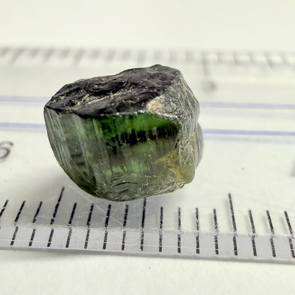 Tourmaline Crystal, 3.78ct, Mwajanga, Tanzania, Untreated Unheated, inclusion crack on one side, black cap tourmaline, c axis totally closed