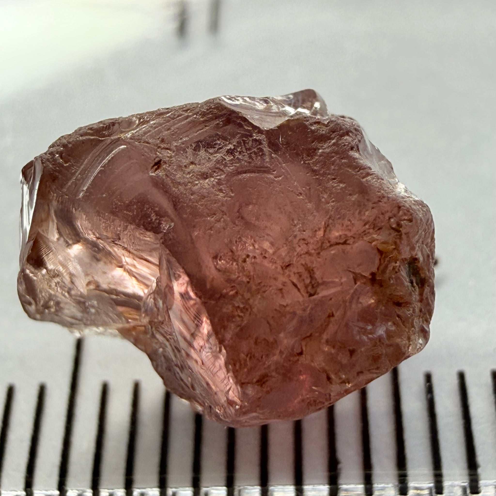 Champagne Garnet, 8.49ct, Lindi, Tanzania, Untreated Unheated, vs